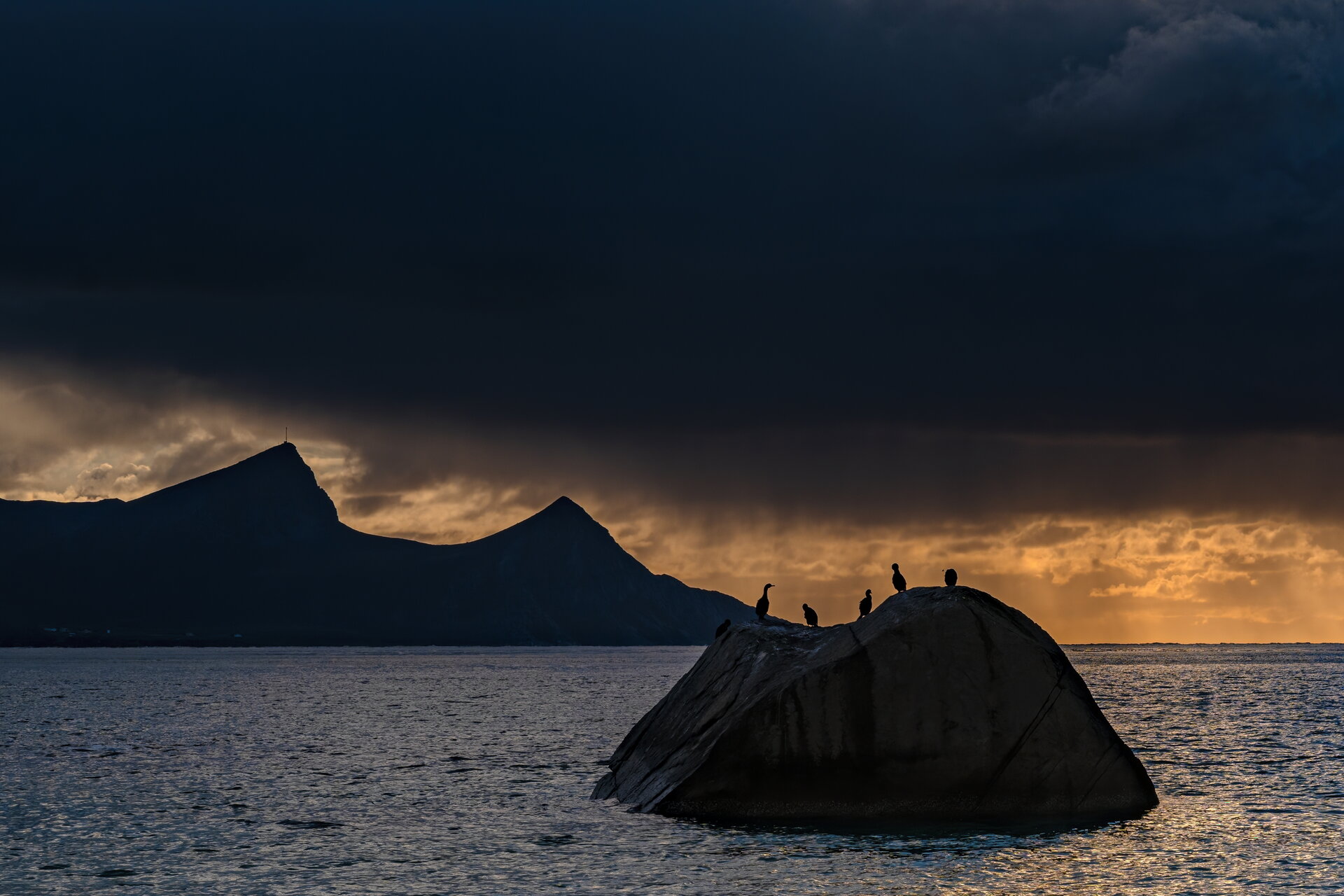 _AST0109_x2-De.jpg