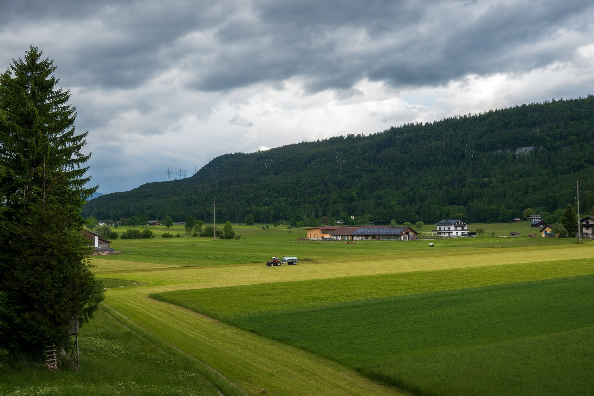 _DSC0189.jpg