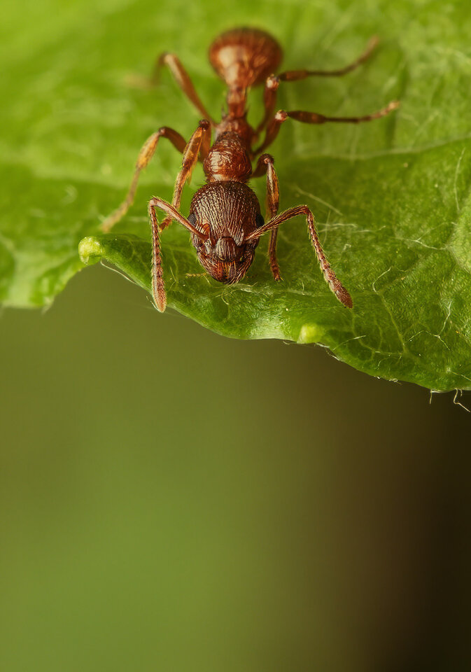 _DSC0302-Kopie-2.jpg