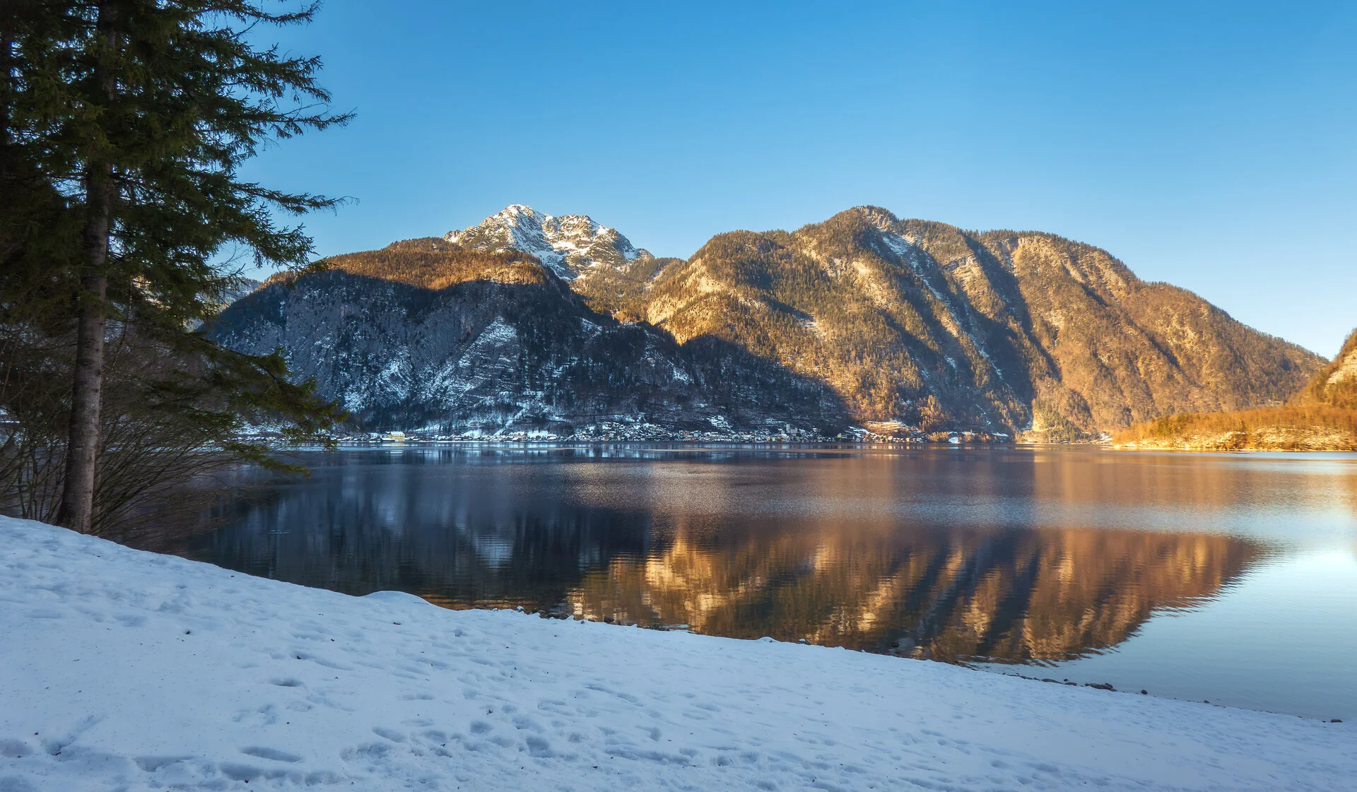 _DSC0745.webp