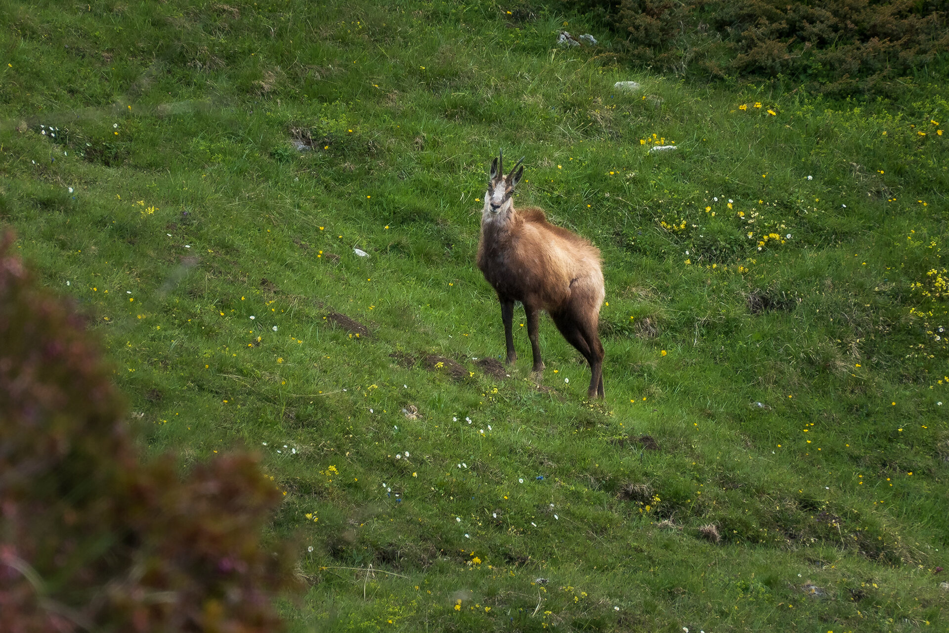 _DSC1044.jpg