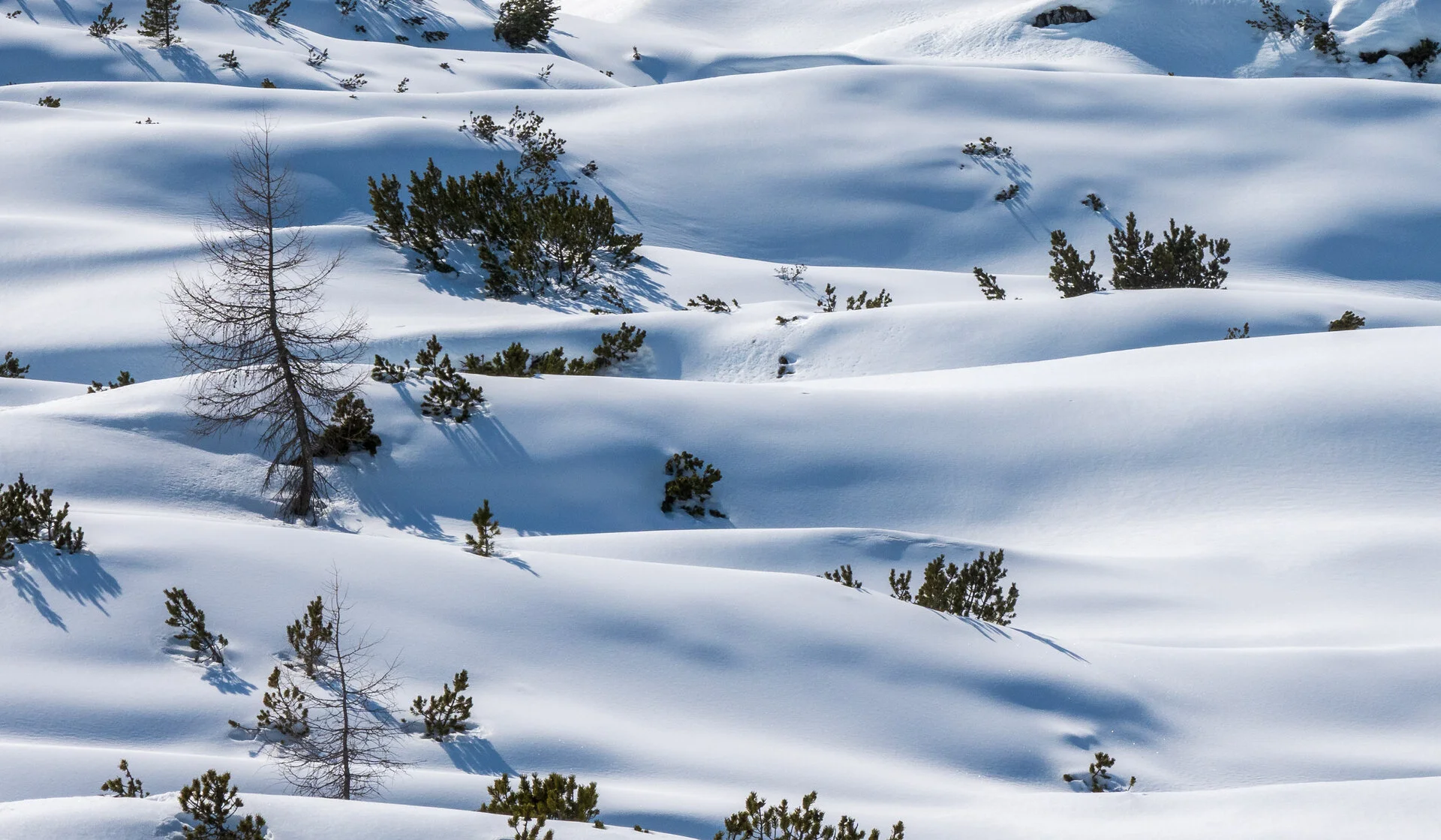 _DSC1764-Kopie-2.webp