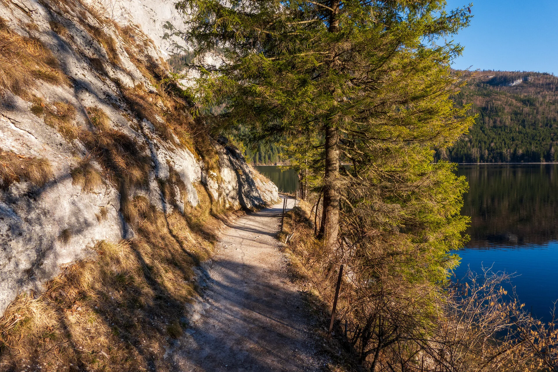 _DSC2220.webp