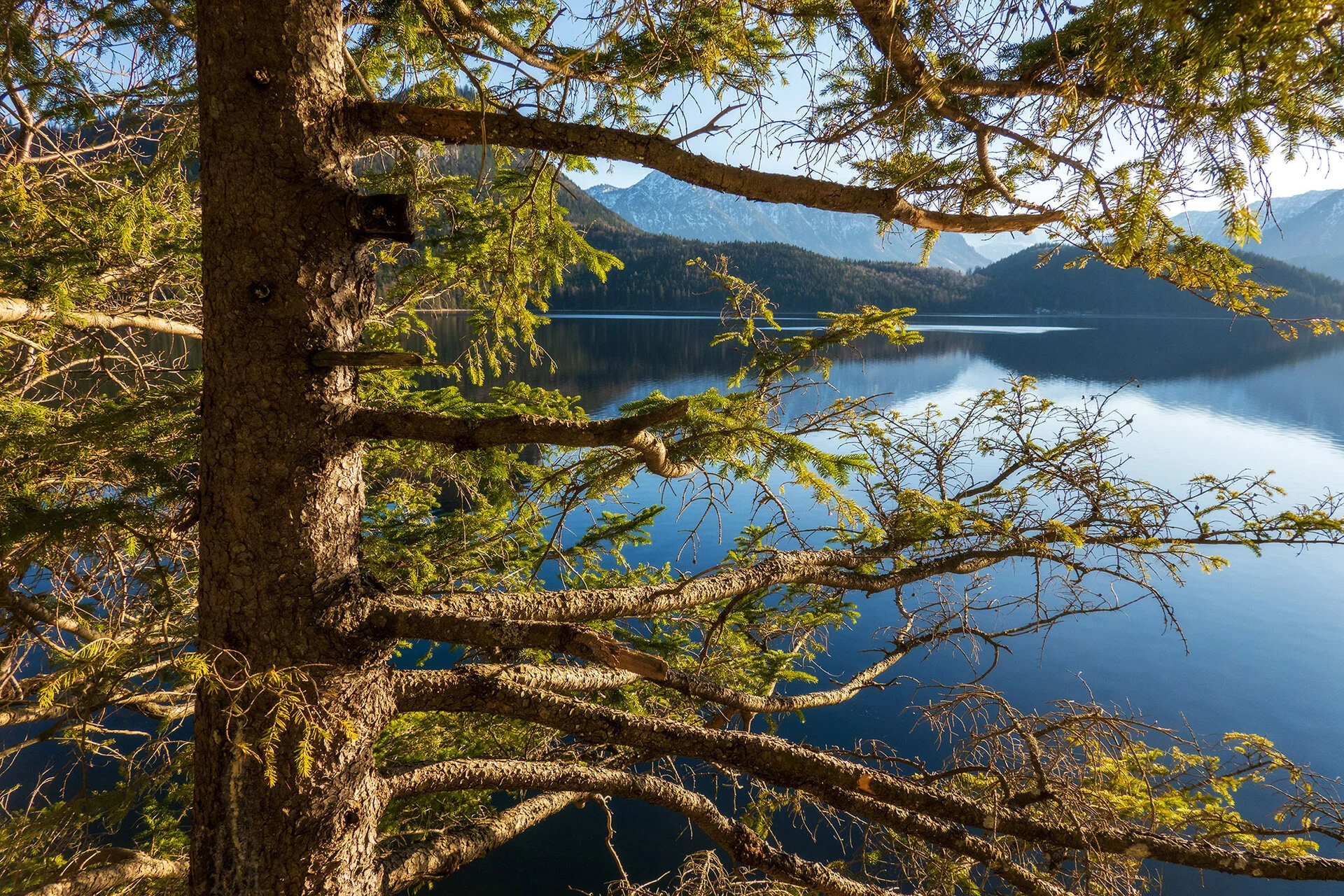 _DSC2224.webp