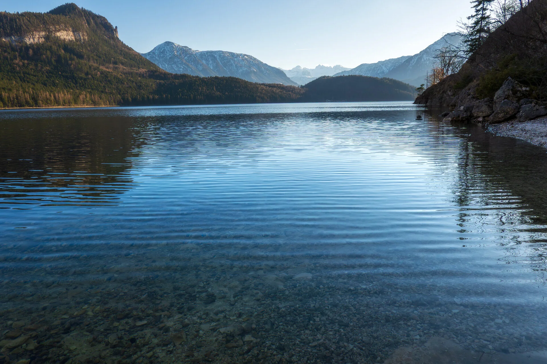 _DSC2237.webp