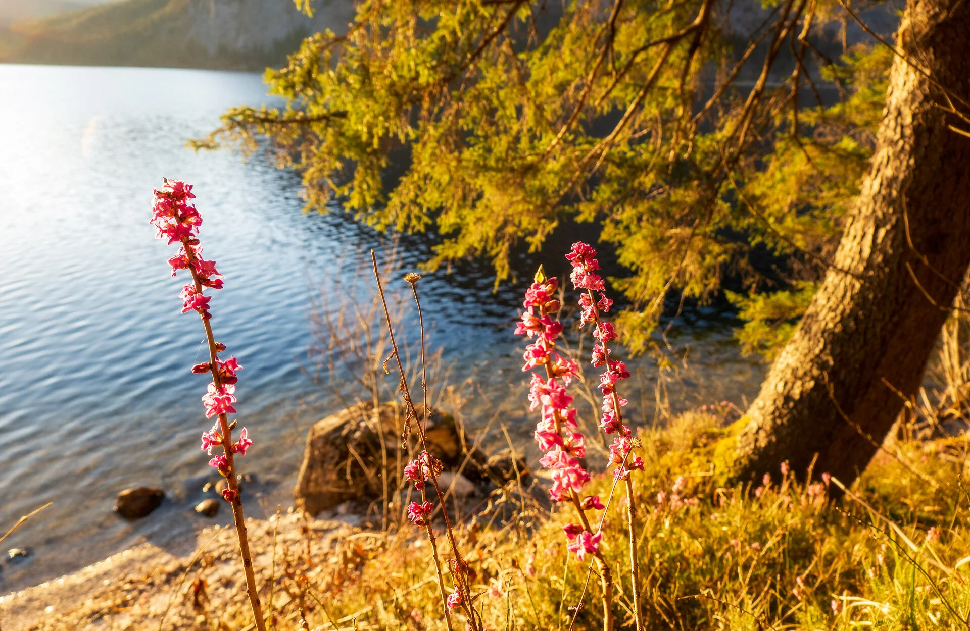 _DSC2272.webp