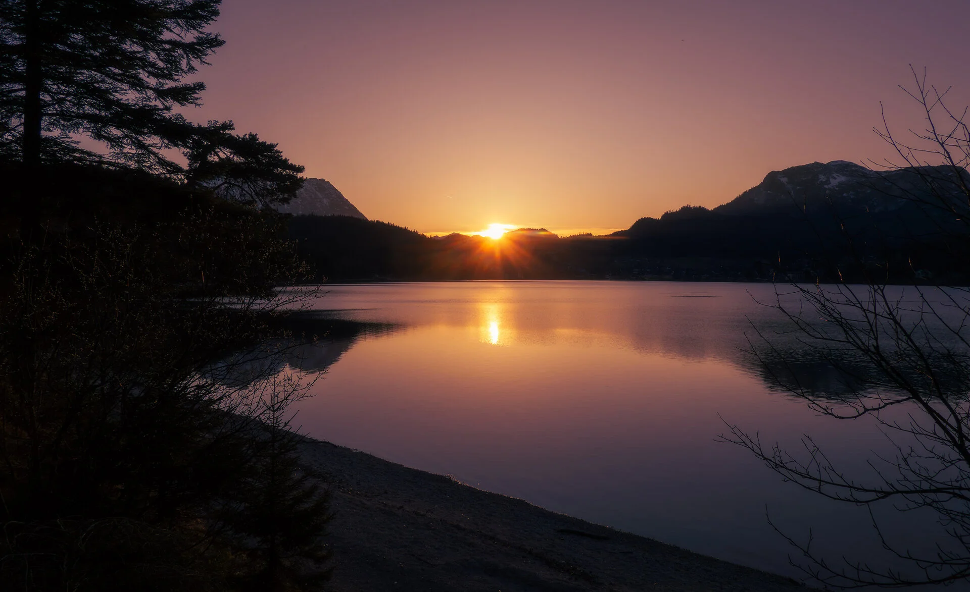 _DSC2273.webp