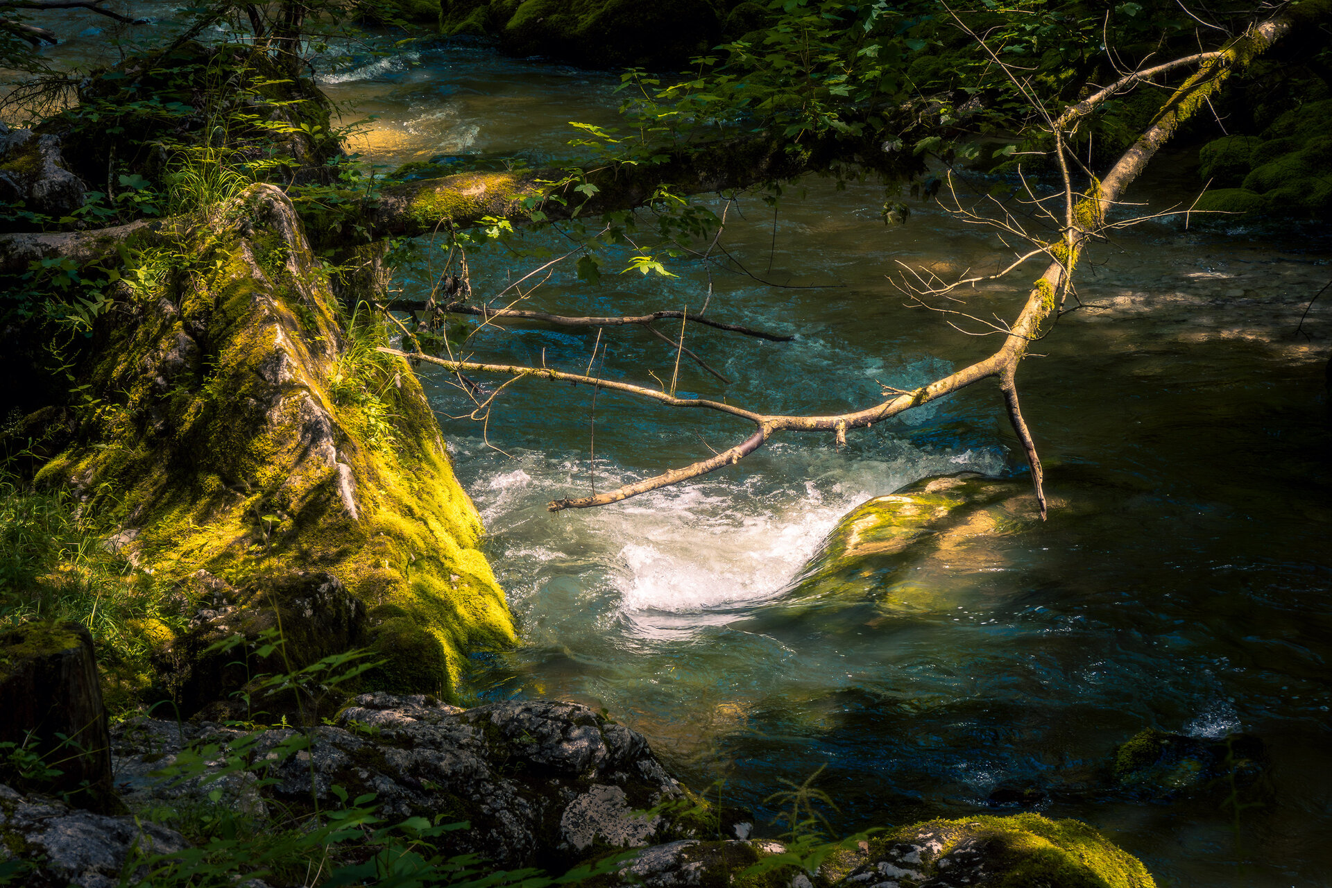 _DSC2550.jpg