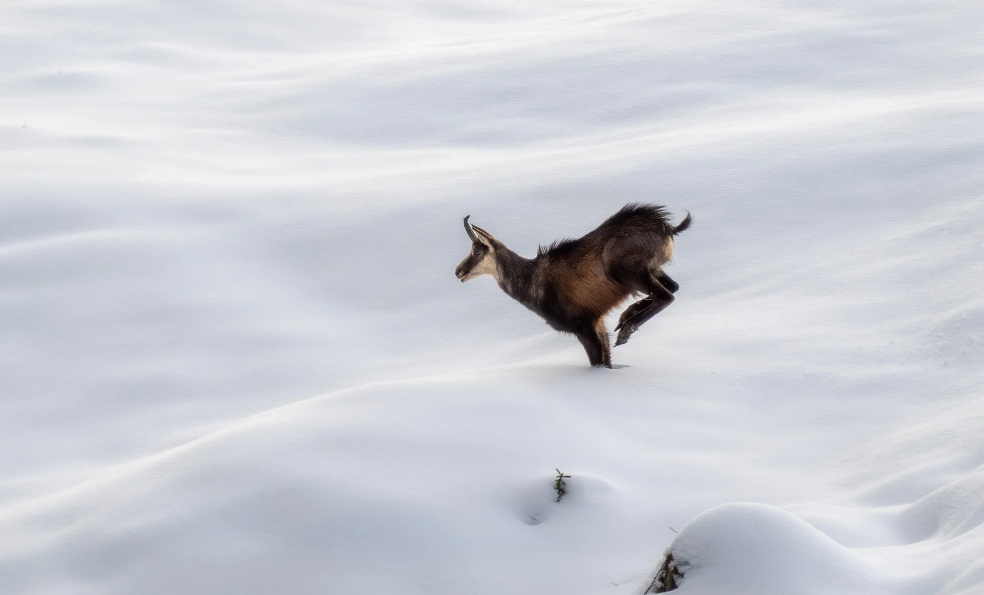 _DSC2593.webp