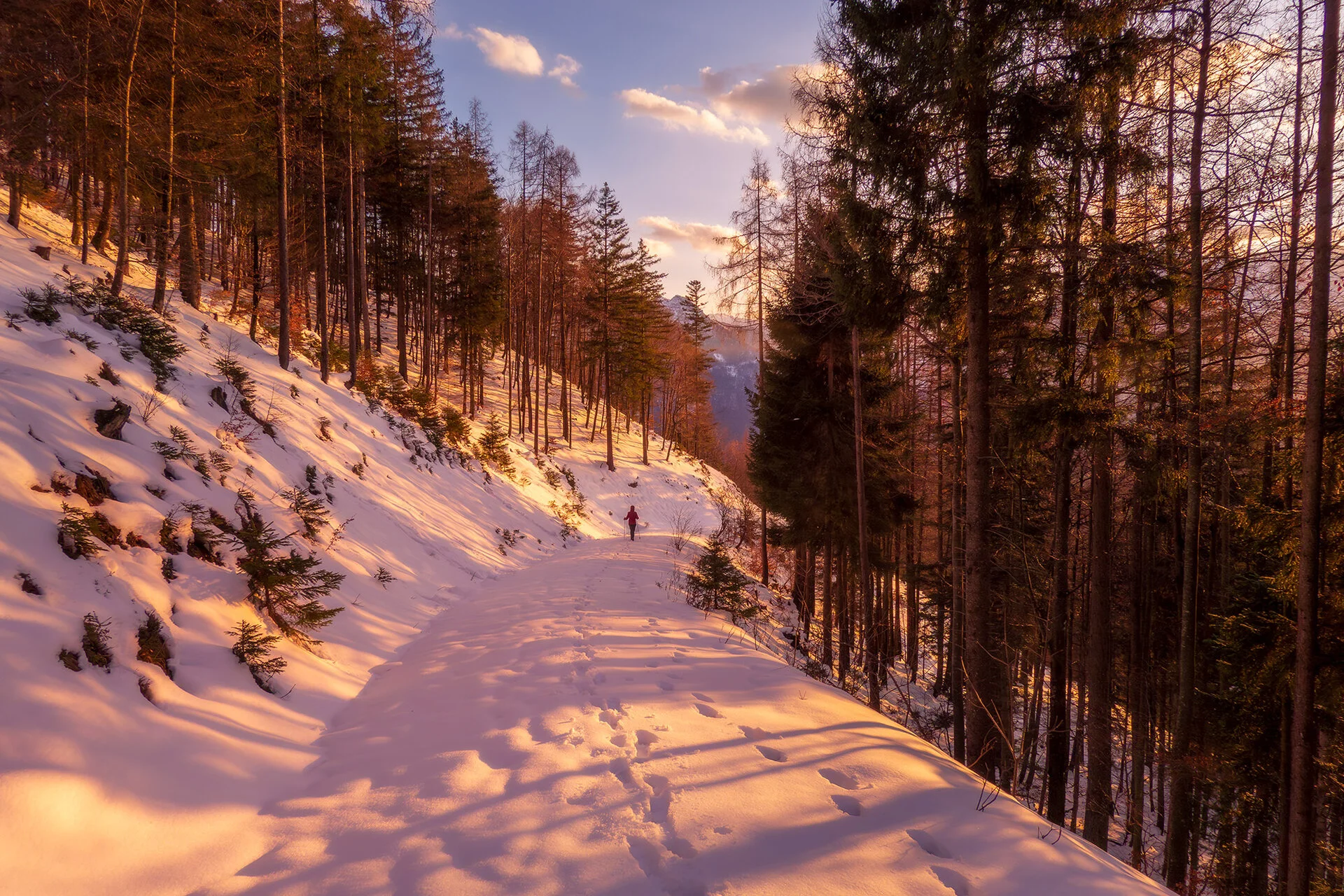 _DSC2675.webp