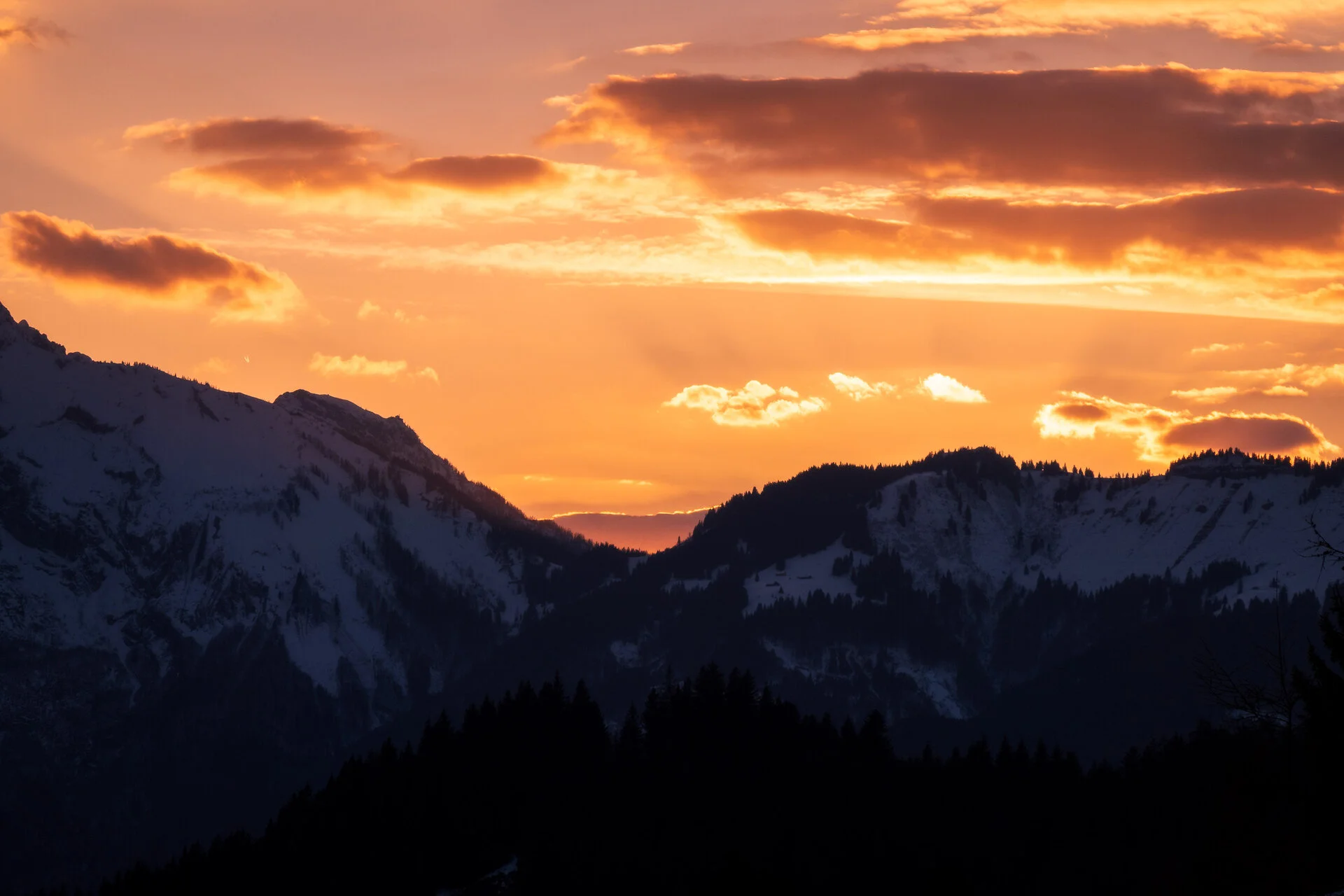 _DSC2724.webp