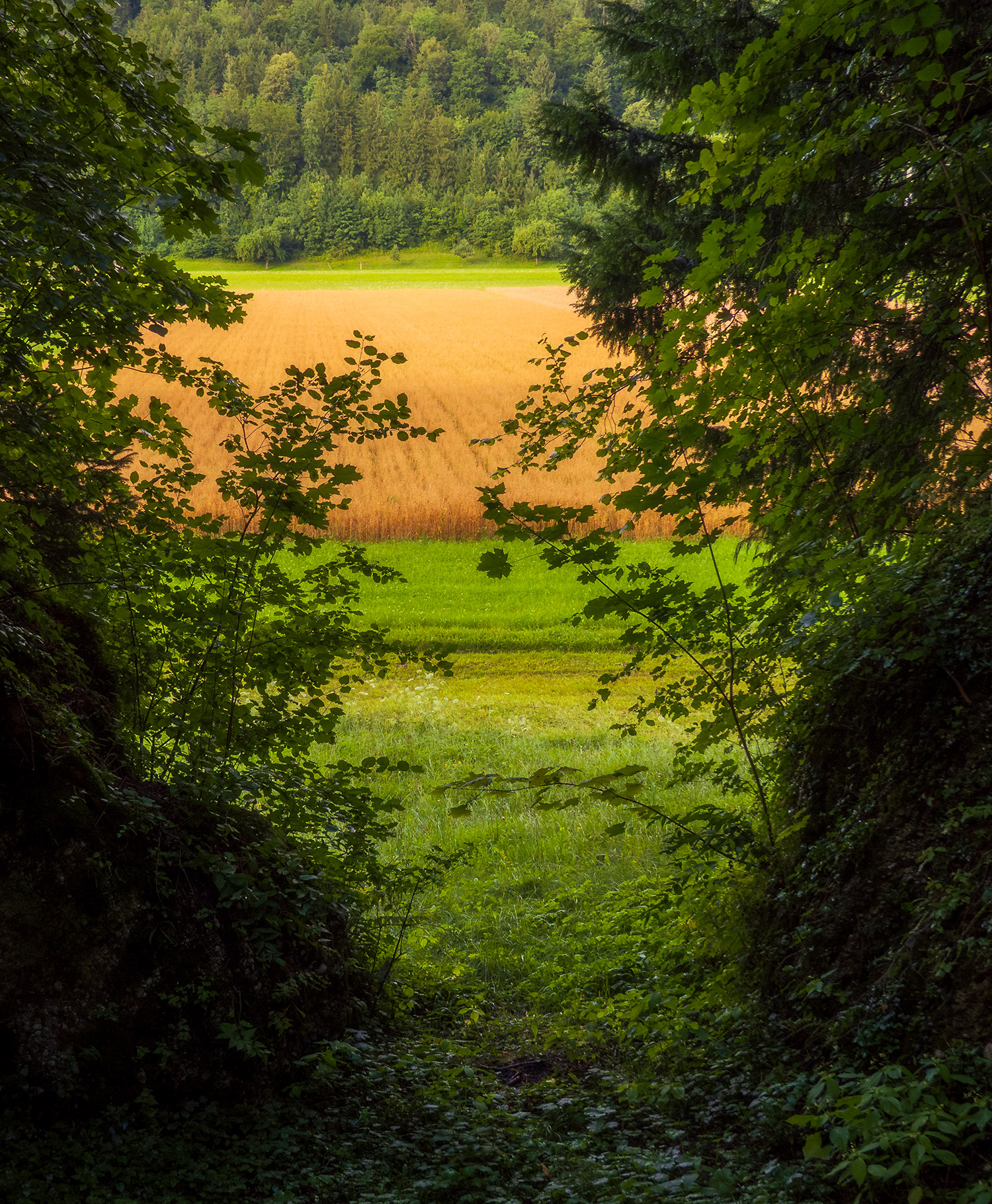 _DSC2793-Kopie.jpg