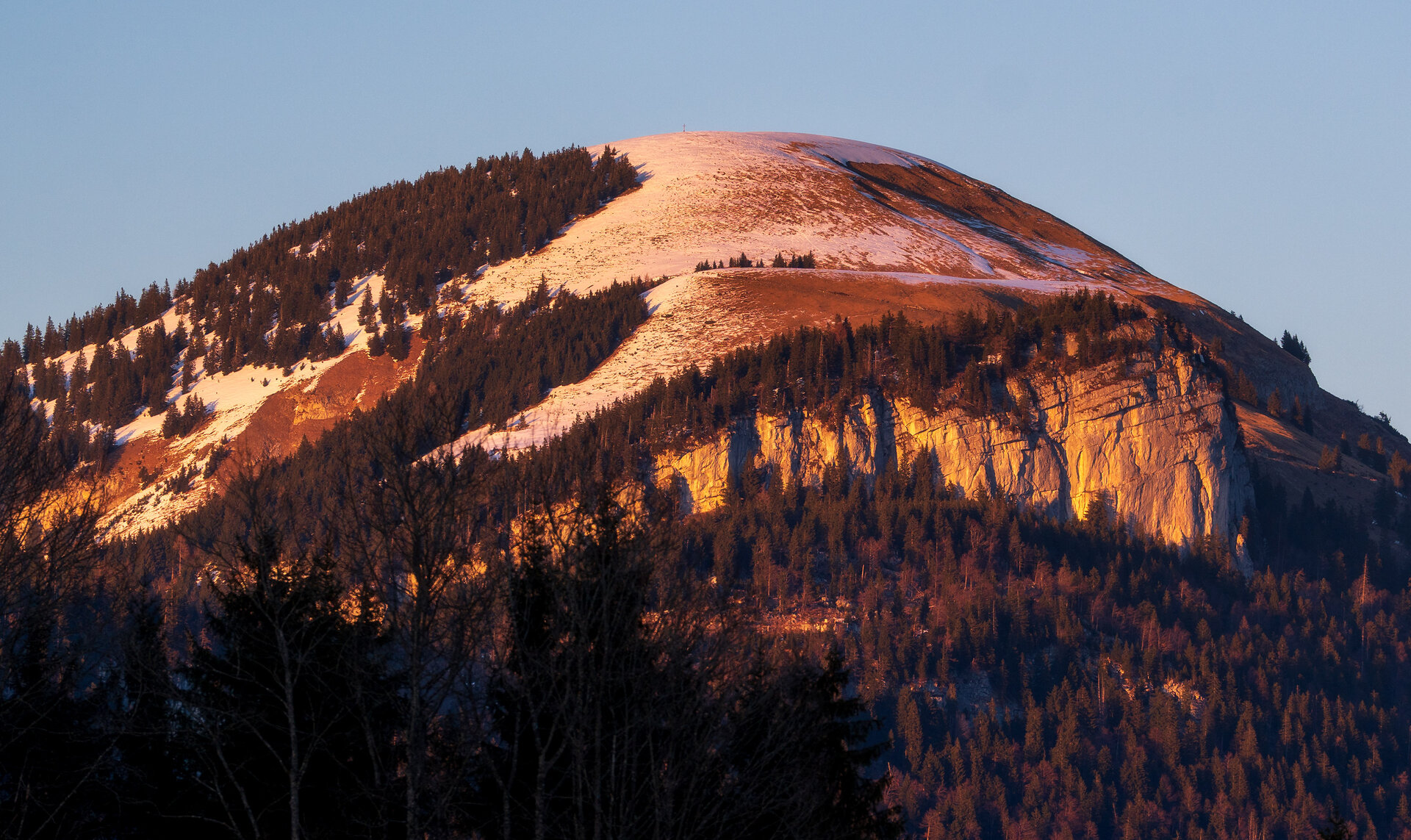 _DSC3098.jpg