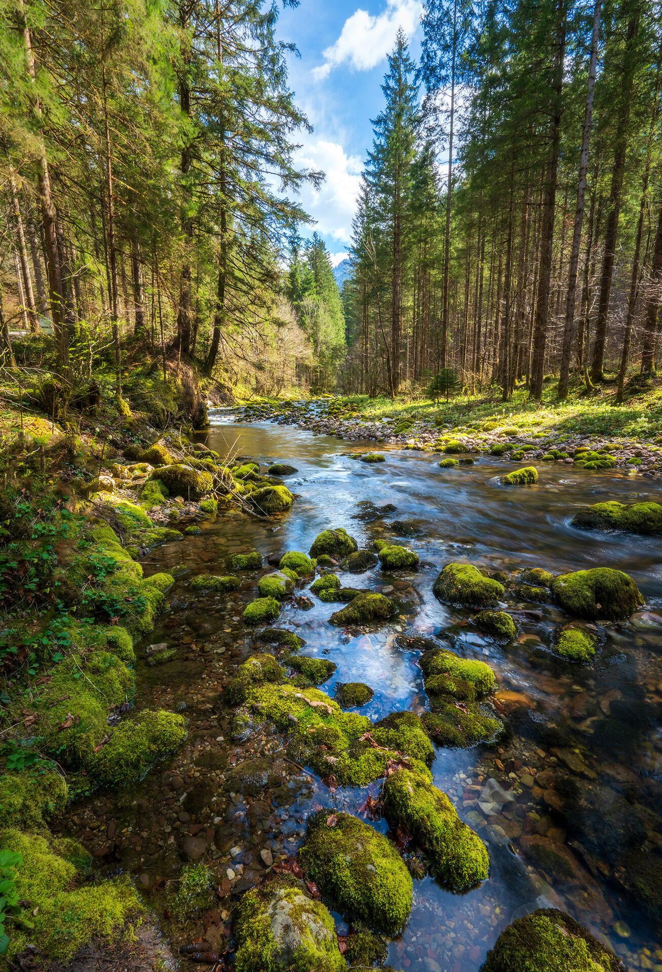 _DSC3376-HDR.jpg