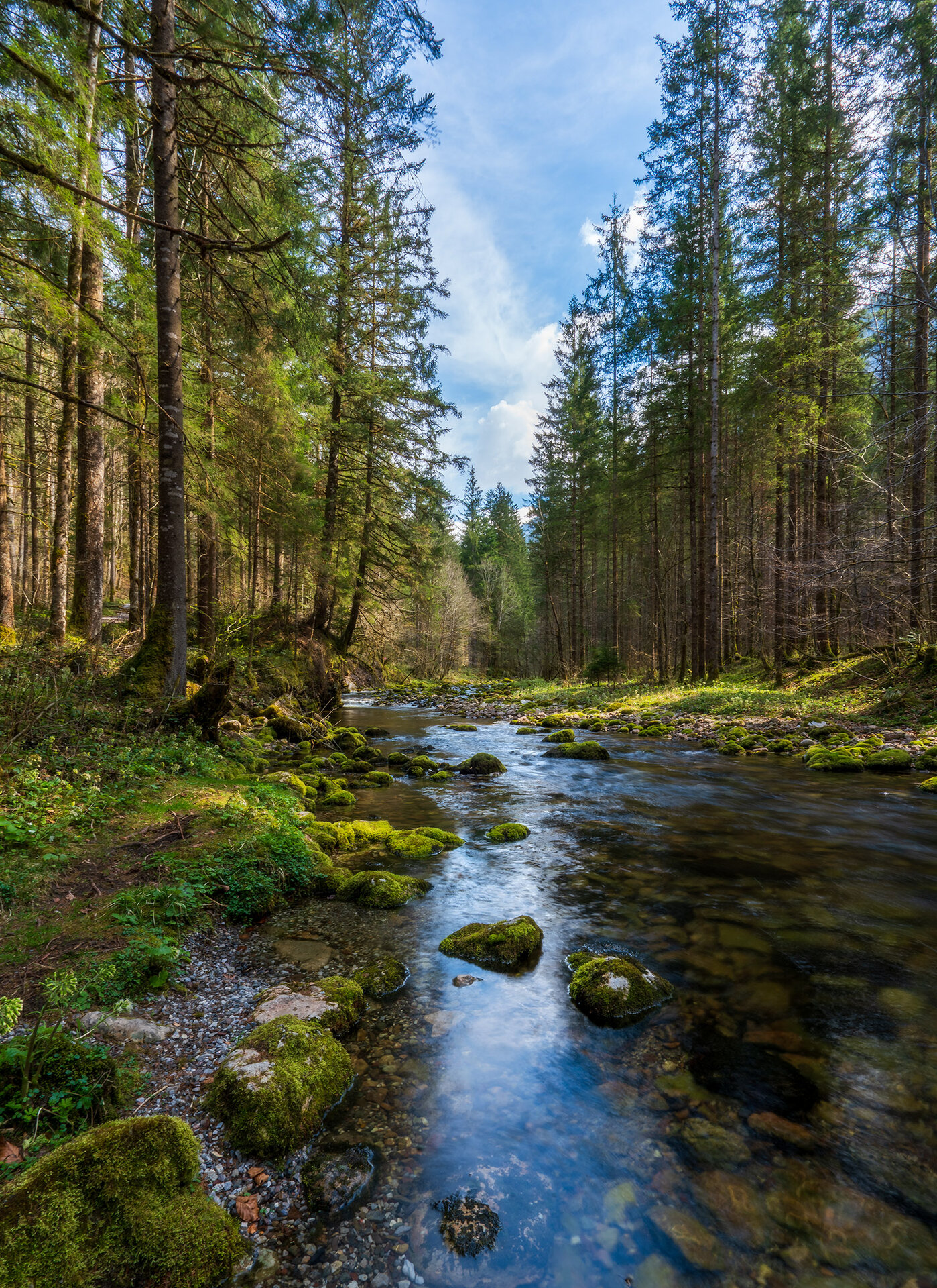 _DSC3391-HDR.jpg