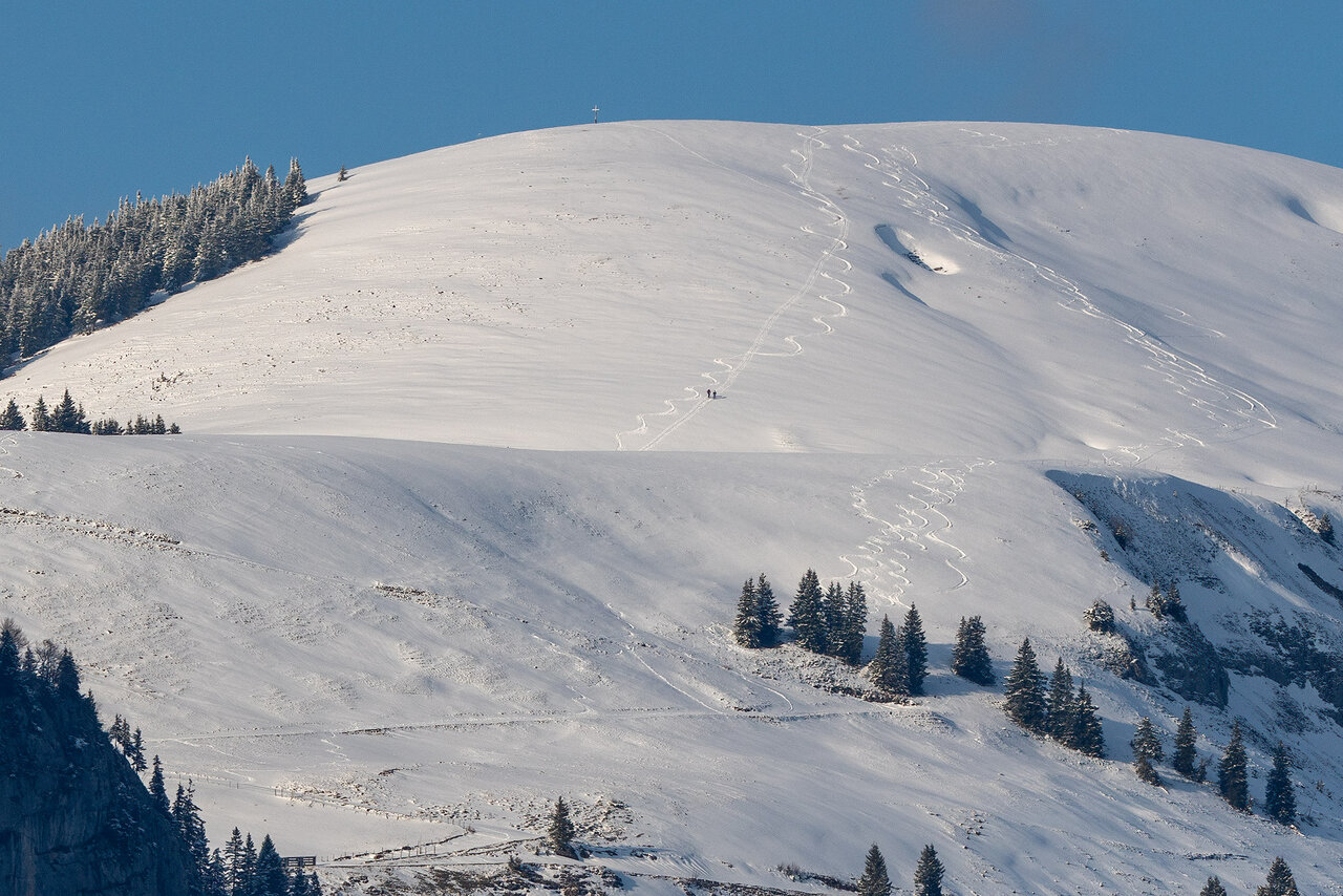_DSC3394.jpg