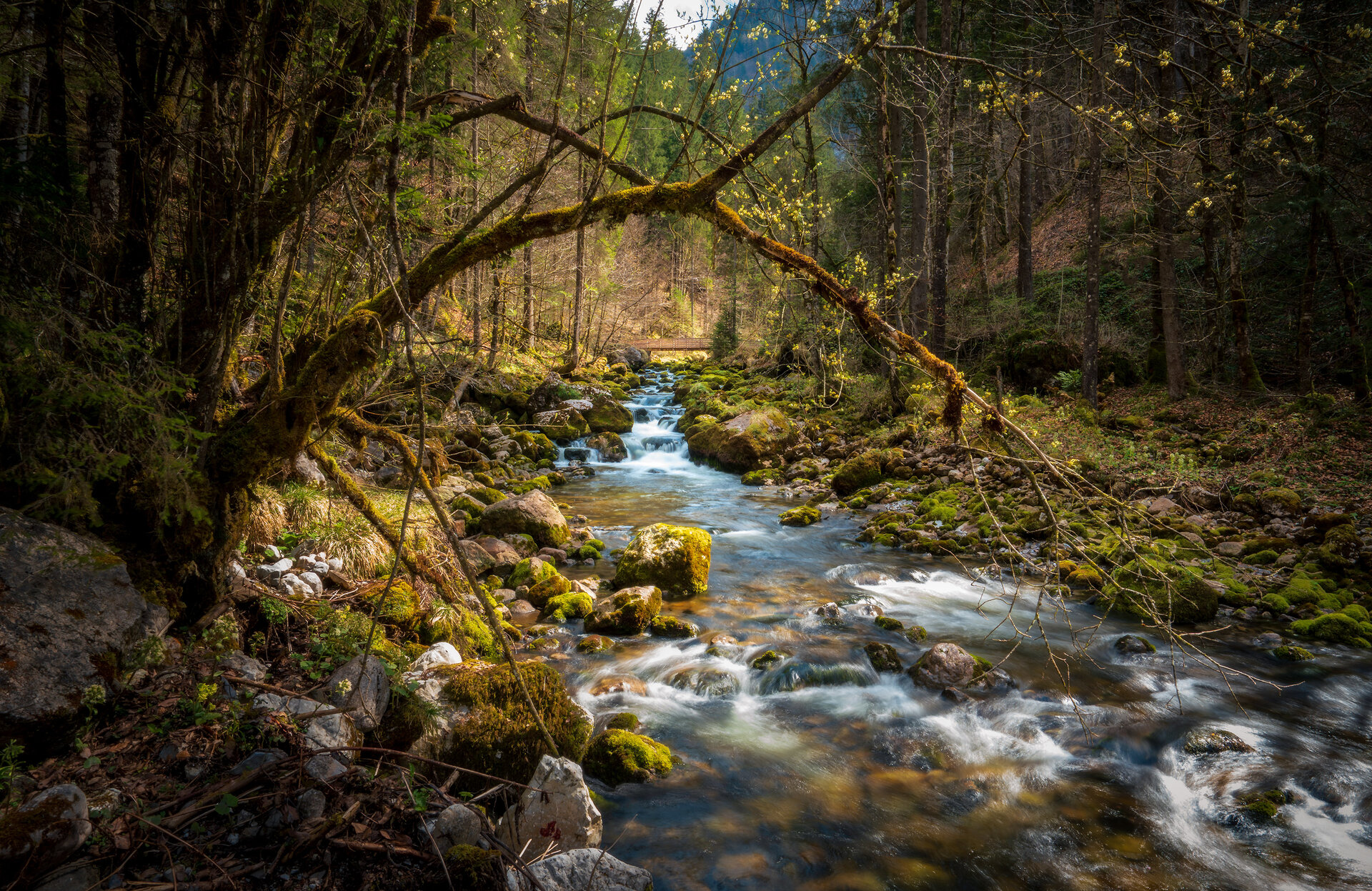 _DSC3452-HDR.jpg