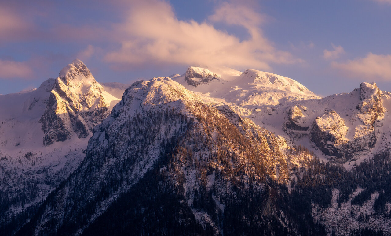 _DSC3479.jpg