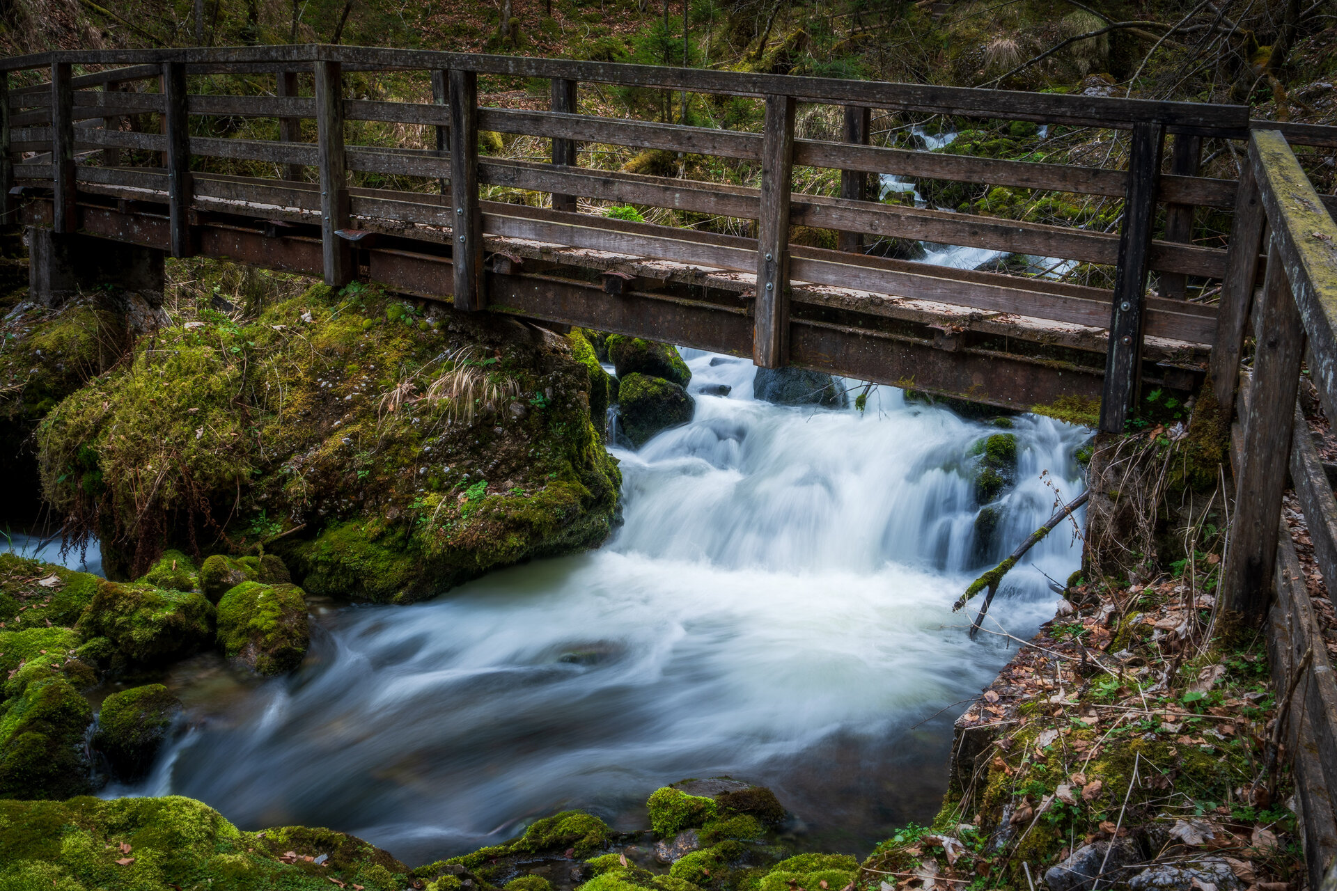 _DSC3508-HDR.jpg