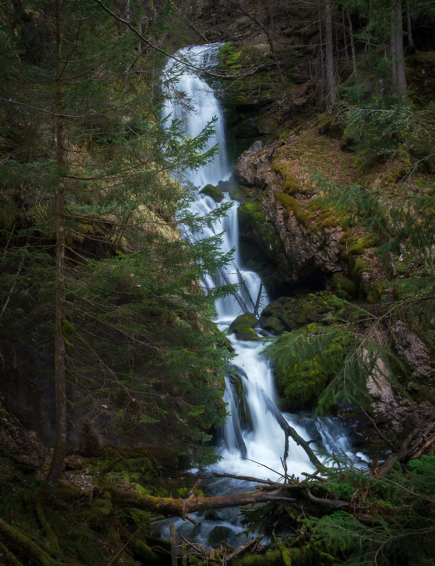 _DSC3555-Kopie.jpg
