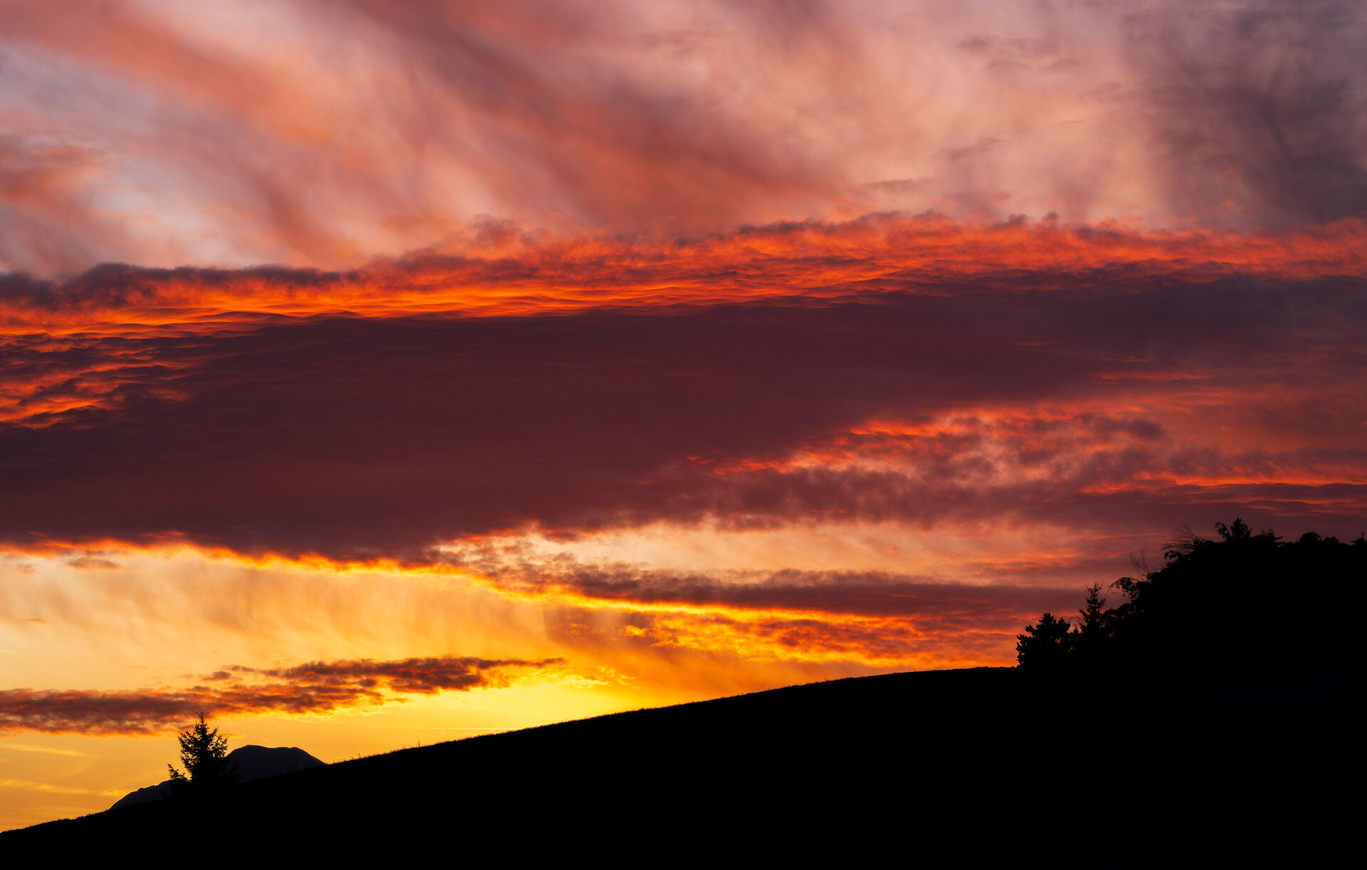 _DSC3665.jpg