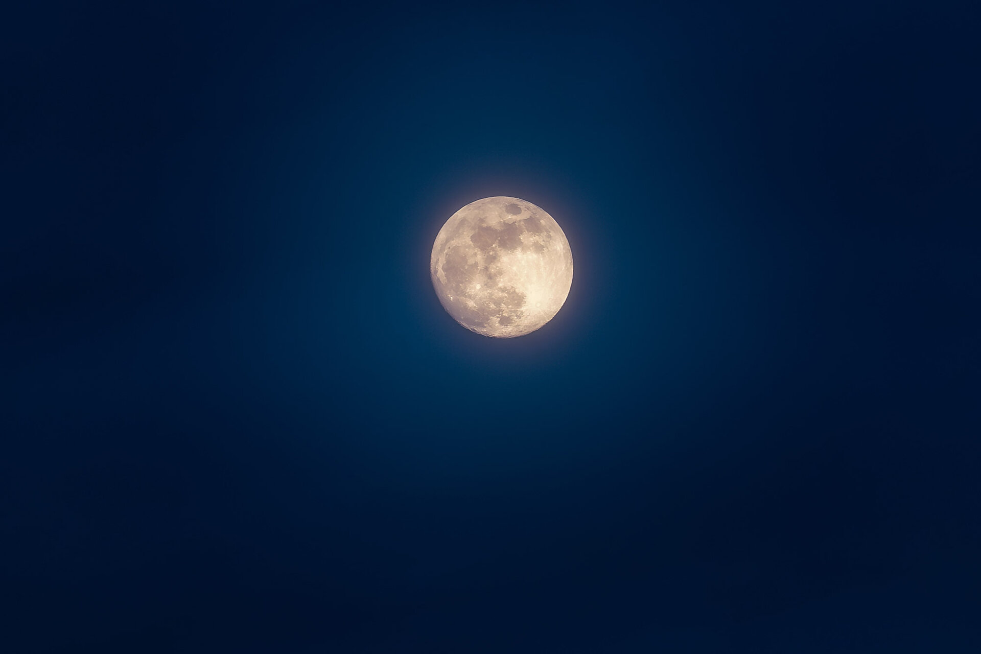 _DSC3668.jpg