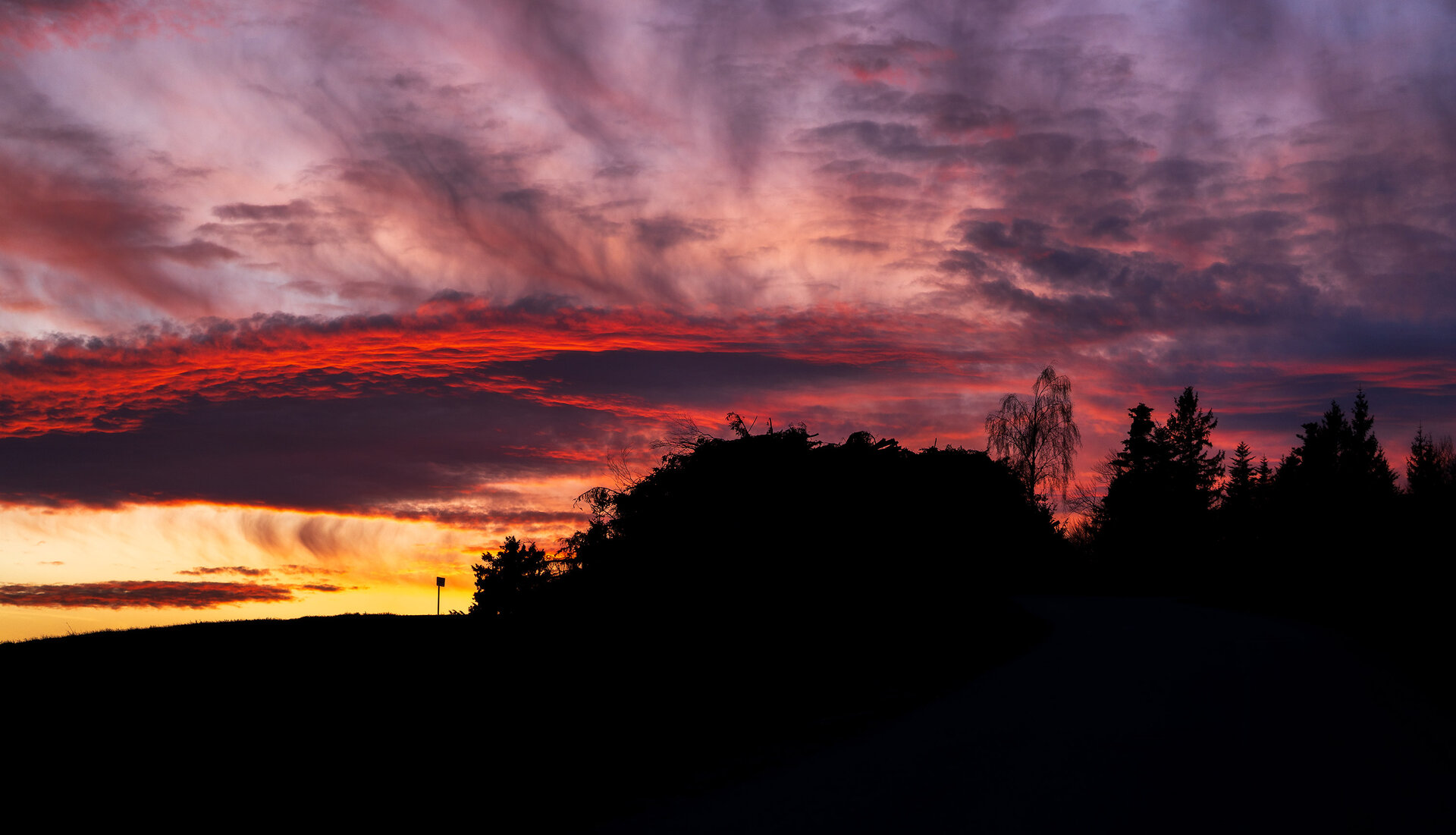 _DSC3669.jpg