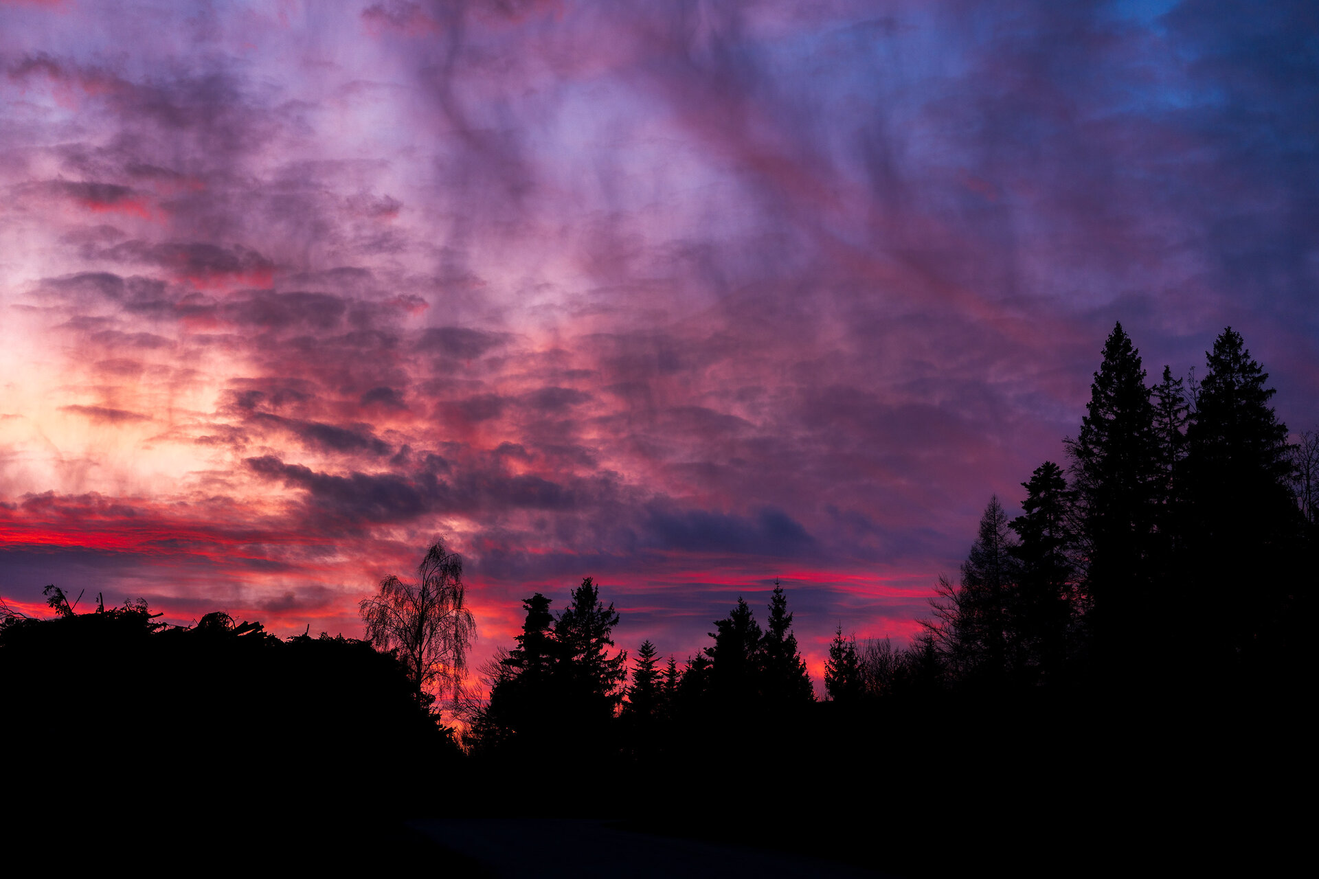 _DSC3676.jpg