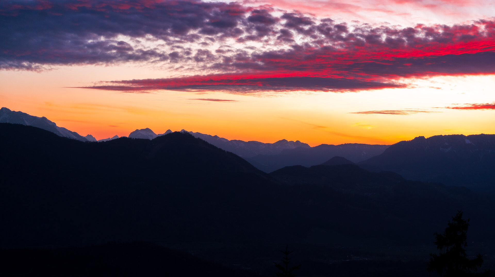 _DSC3682.jpg