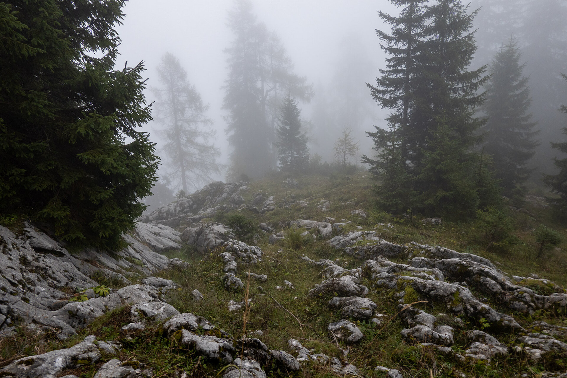 _DSC5364.jpg