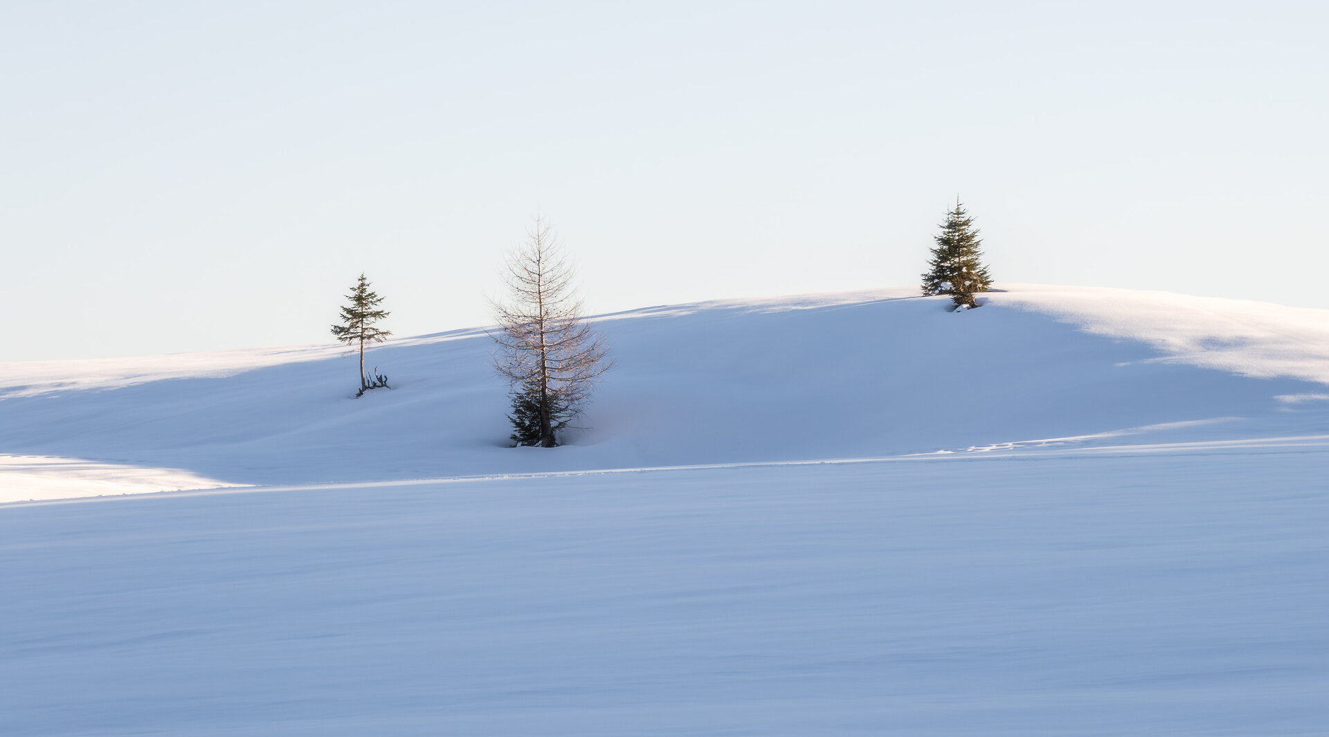 _DSC5628.jpg
