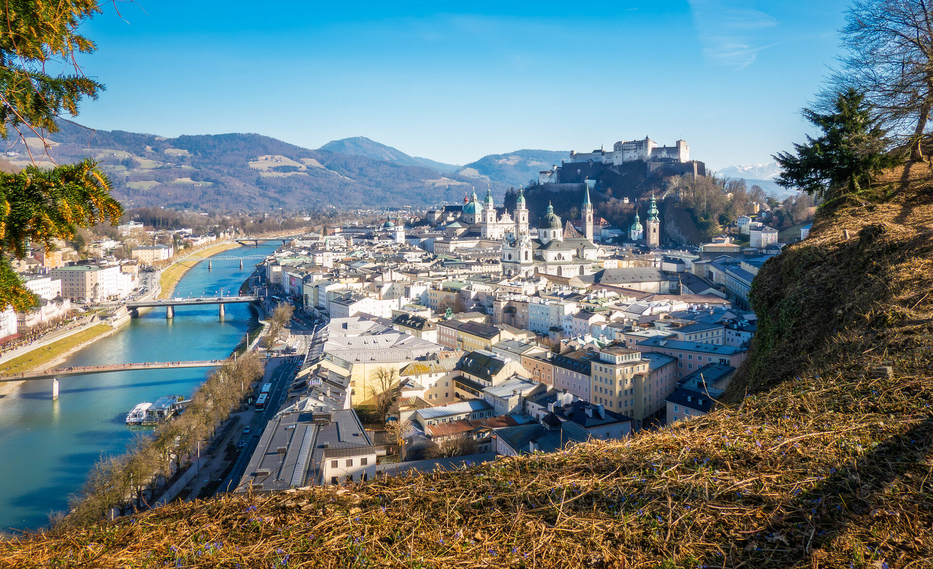 _DSC5943-Kopie.jpg