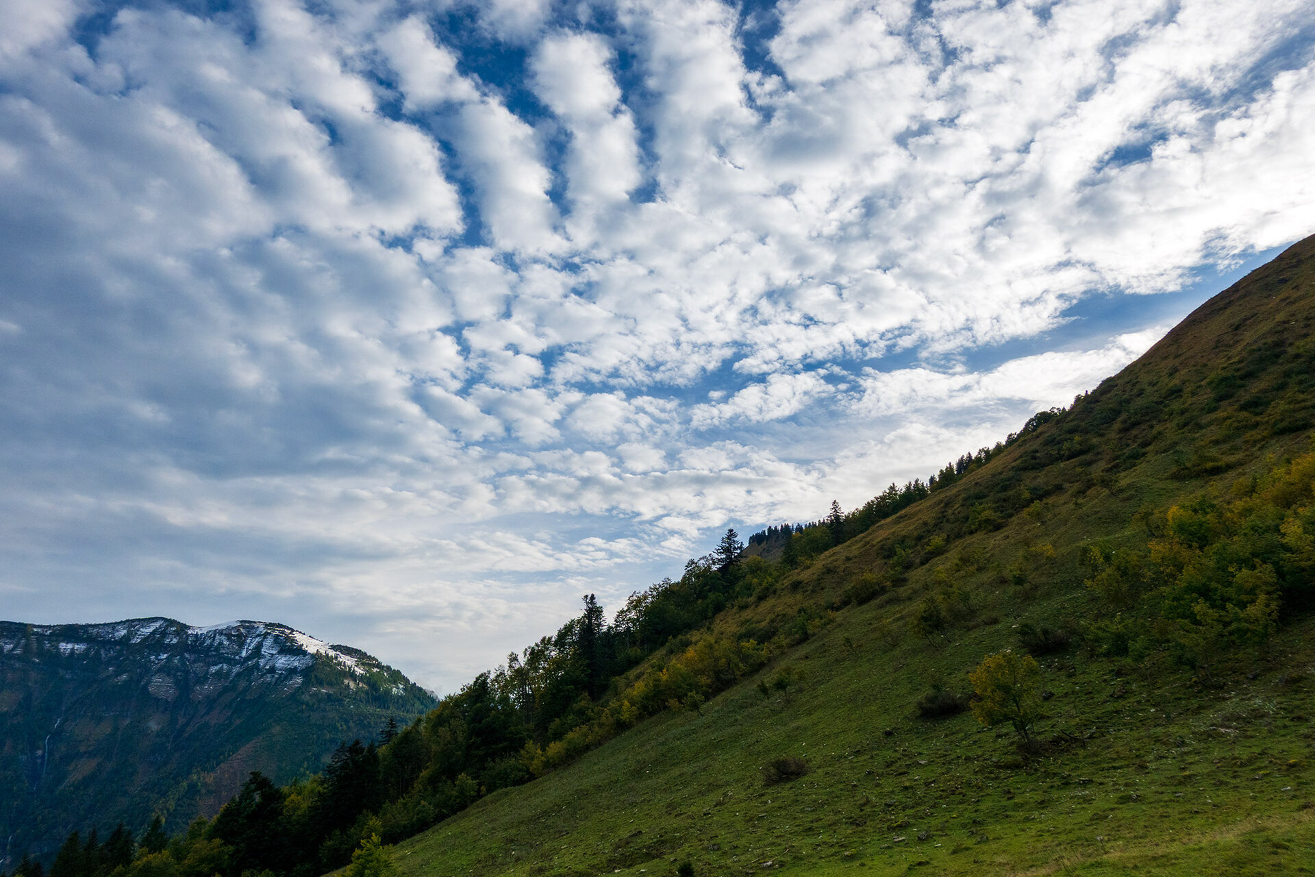 _DSC6163.jpg