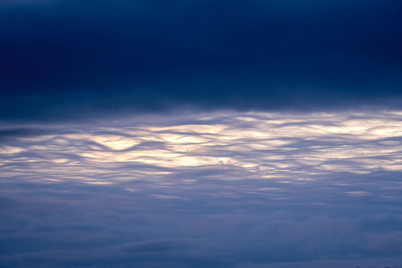 _DSC6481.jpg