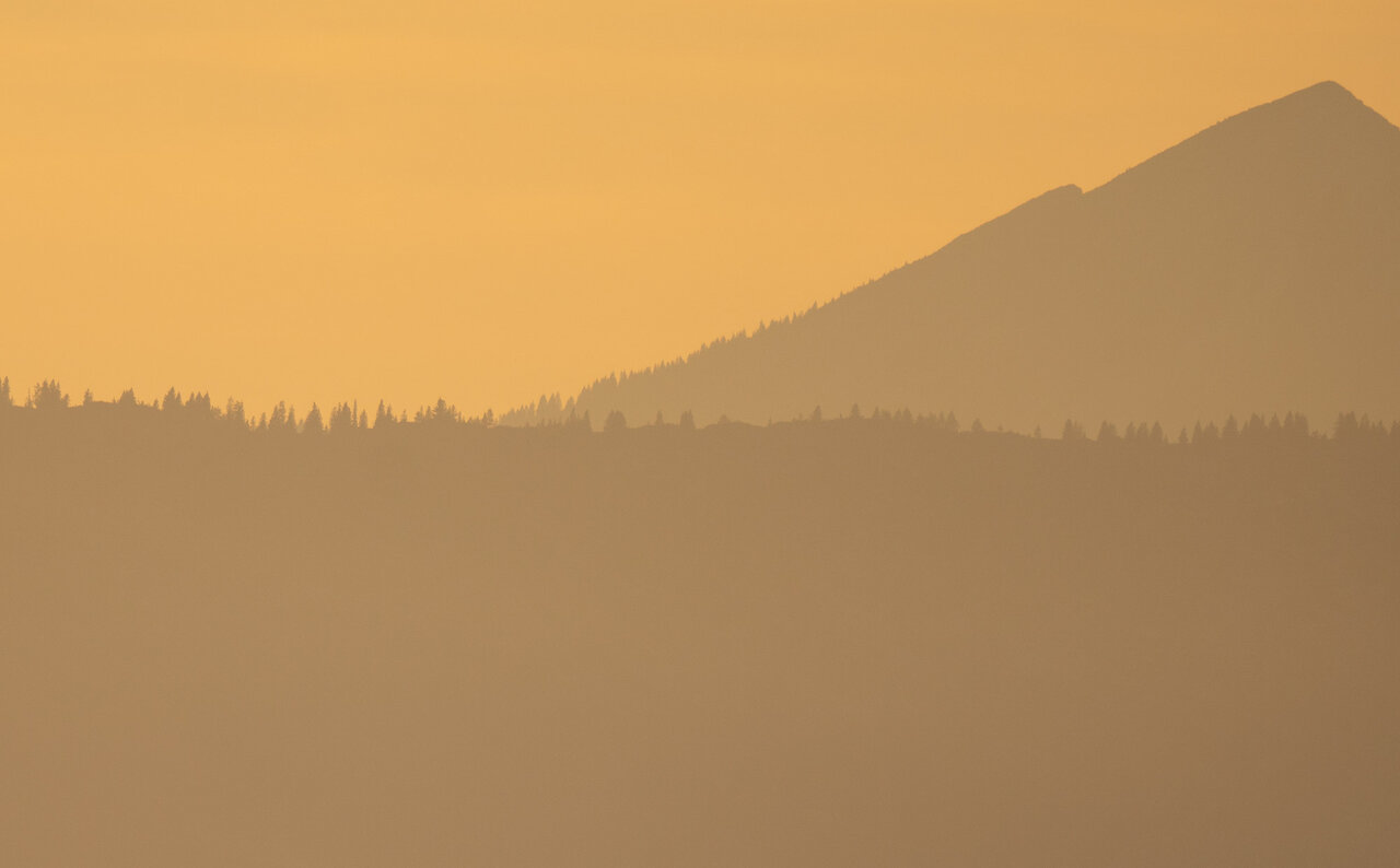 _DSC6722.jpg