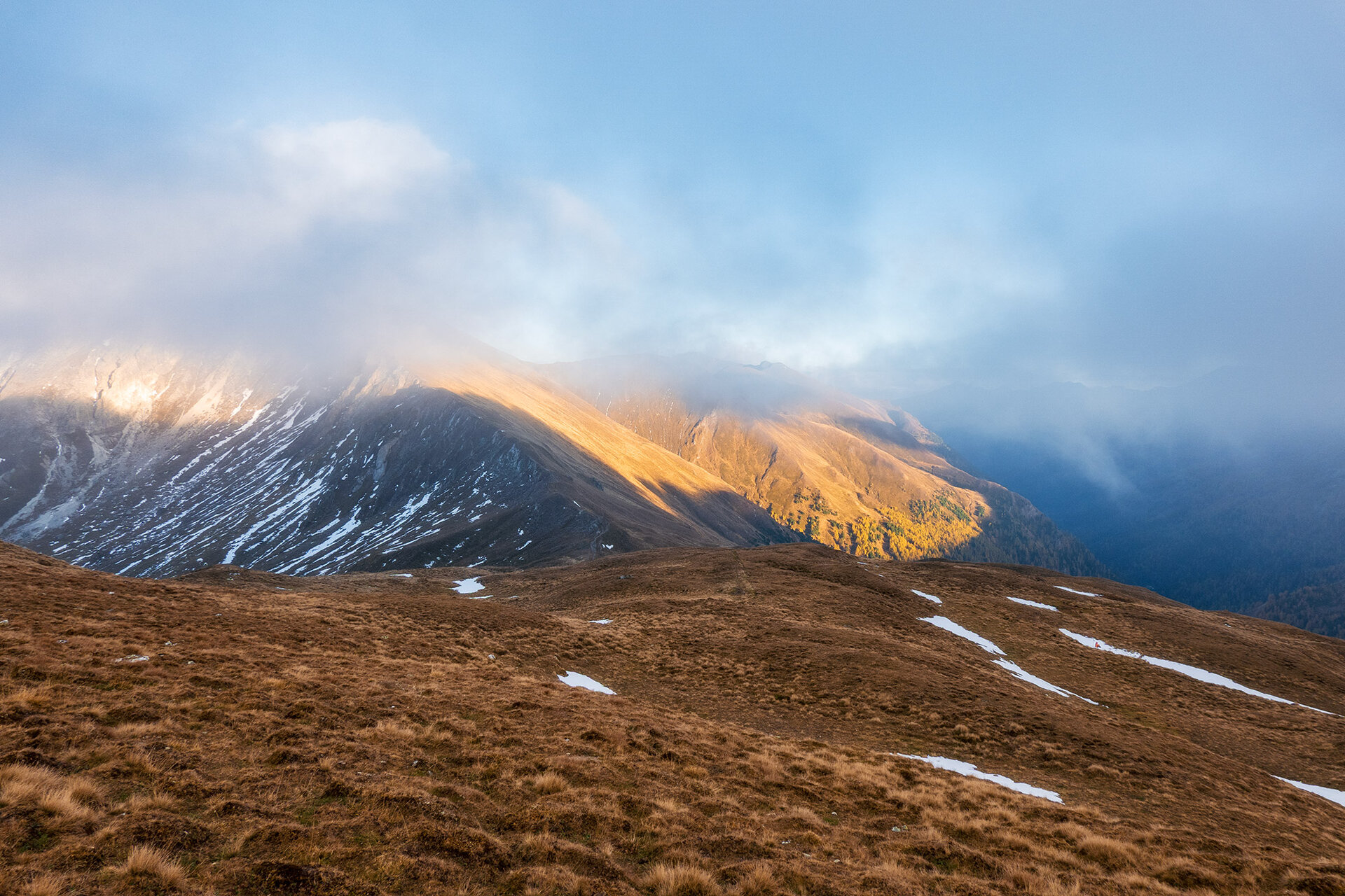 _DSC7416.jpg