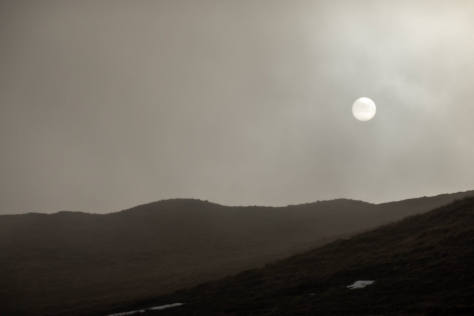 _DSC7419.jpg