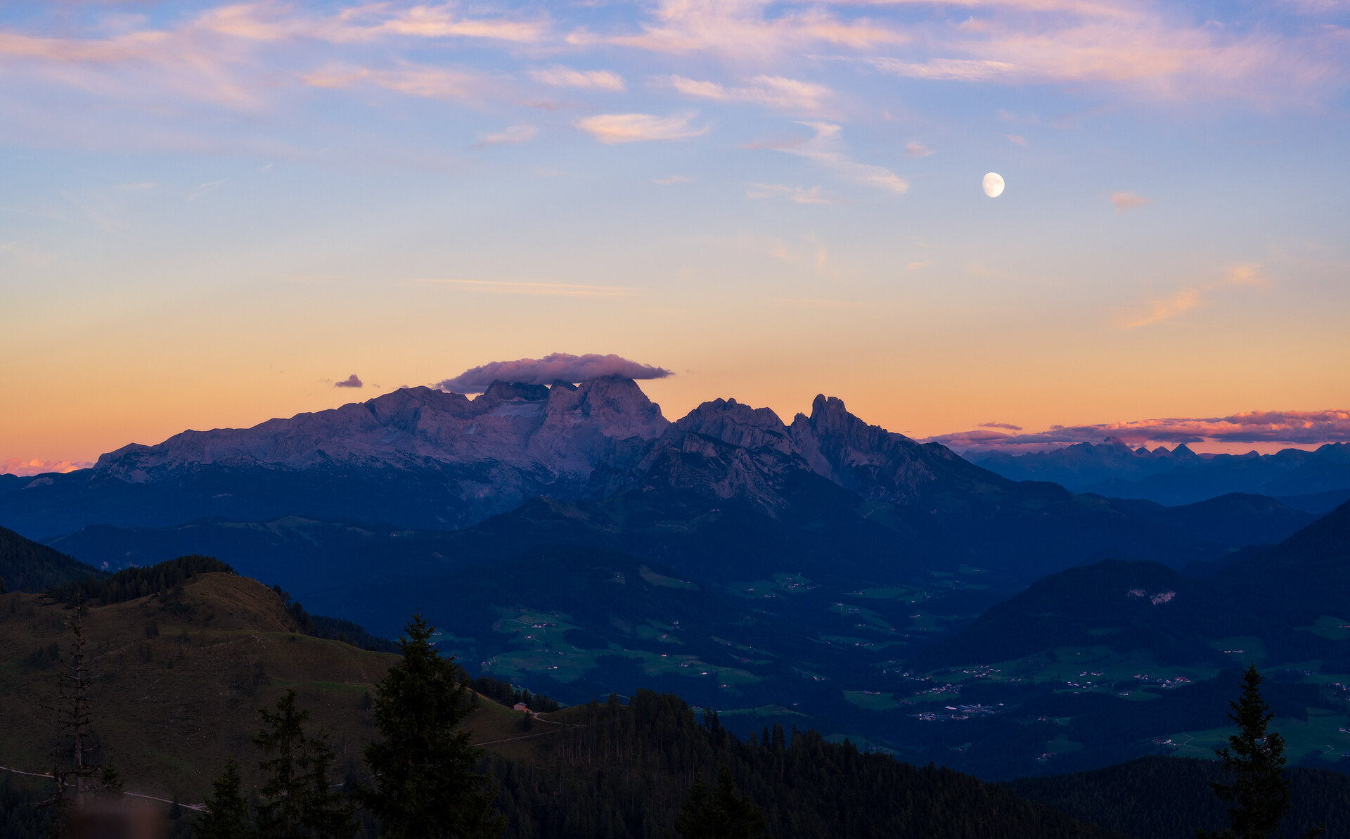 _DSC8181.jpg