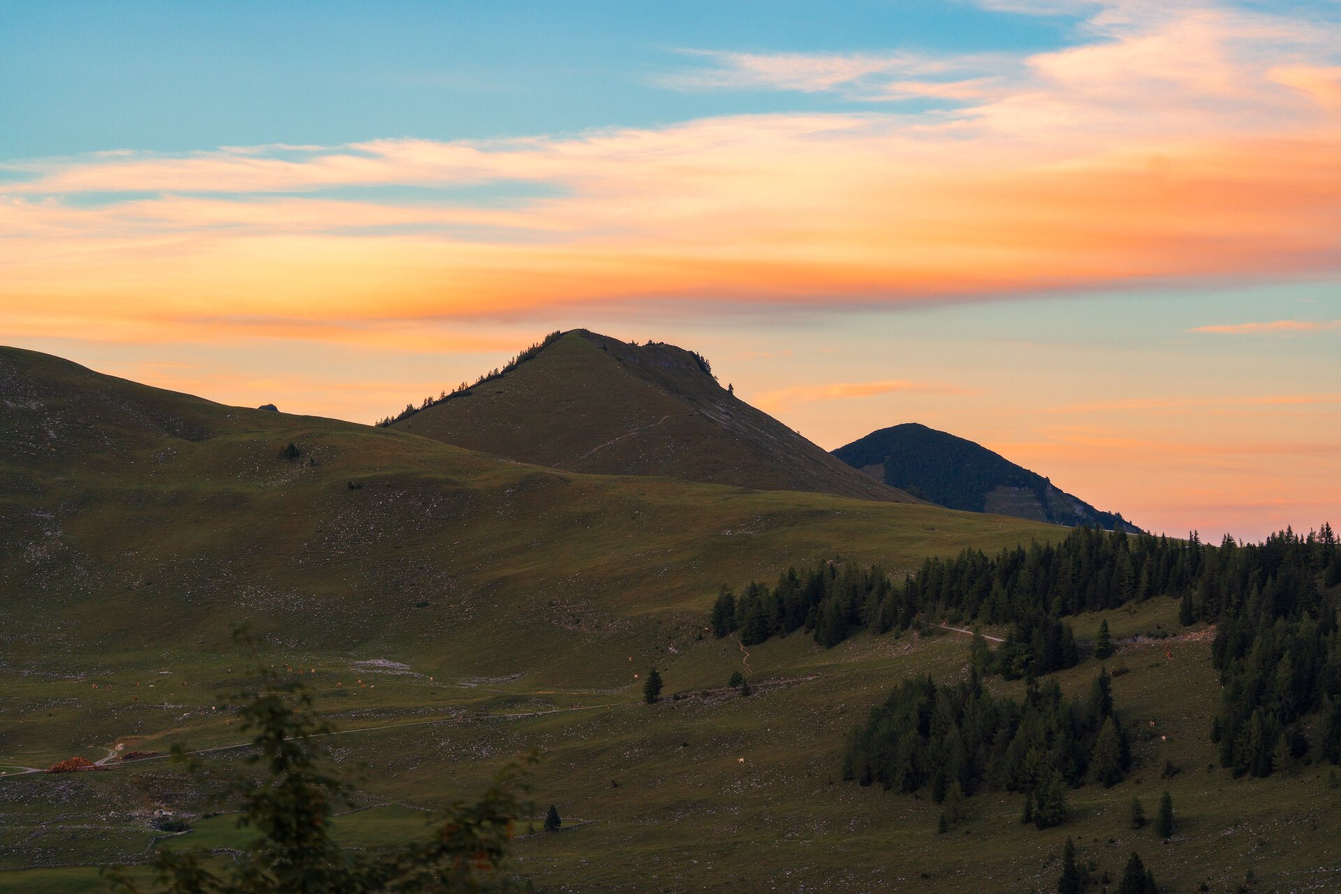 _DSC8184.jpg