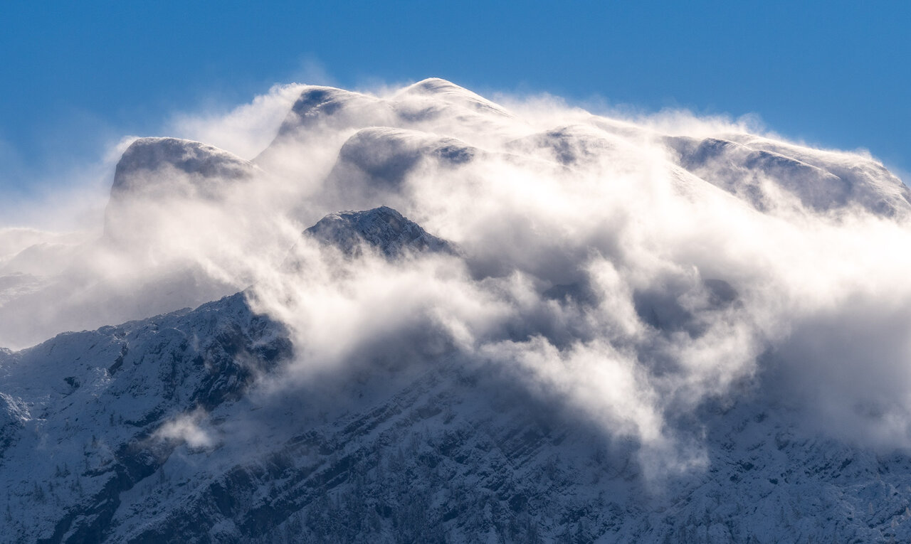 _DSC8258.jpg