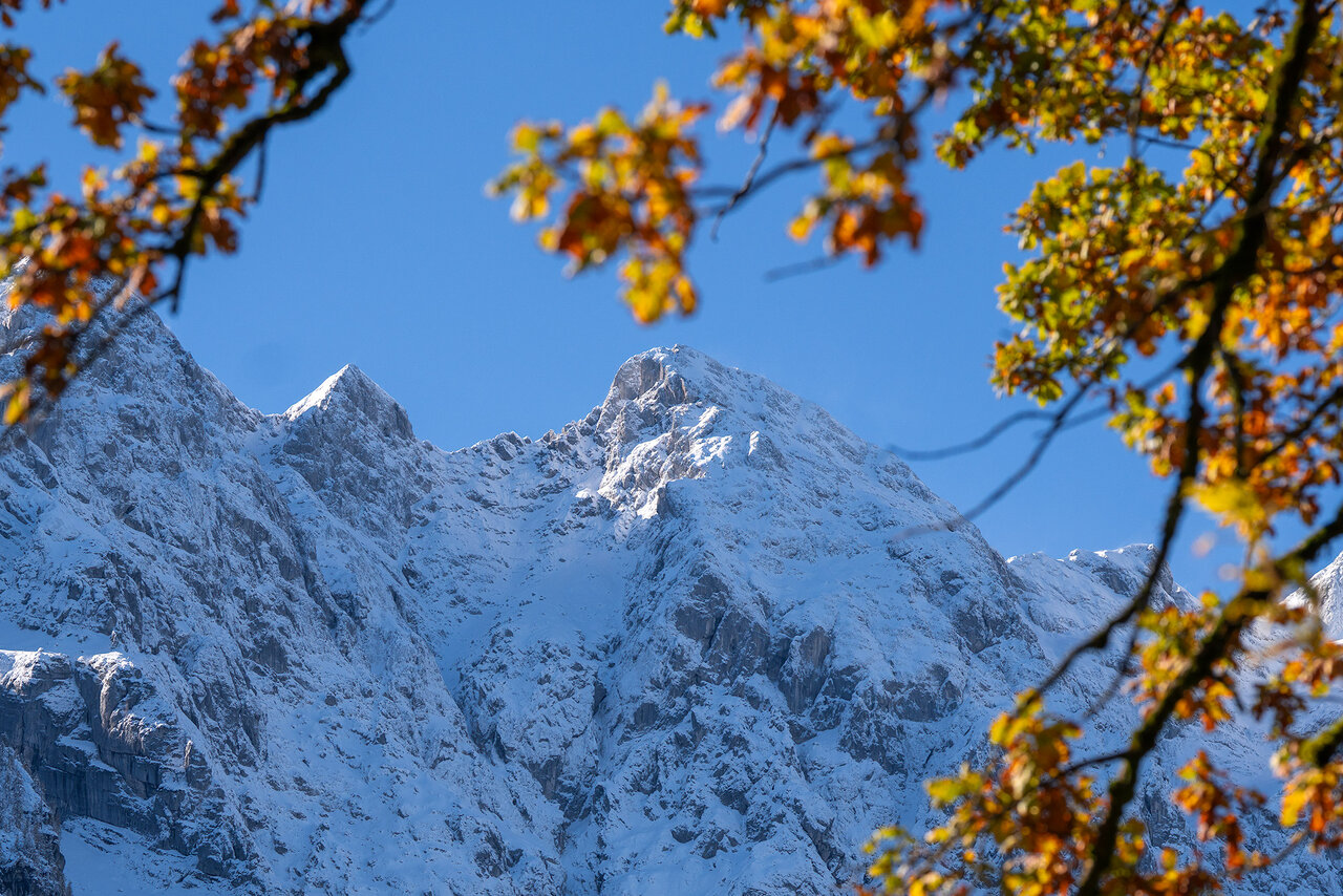 _DSC8302.jpg
