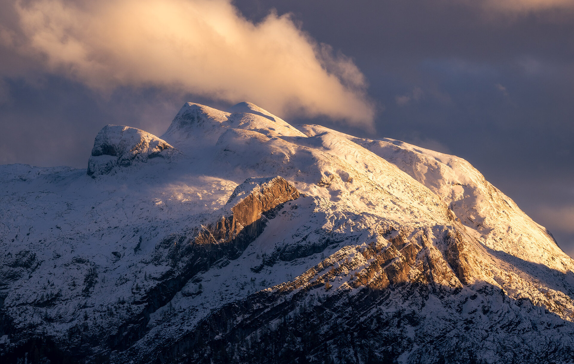 _DSC8313.jpg