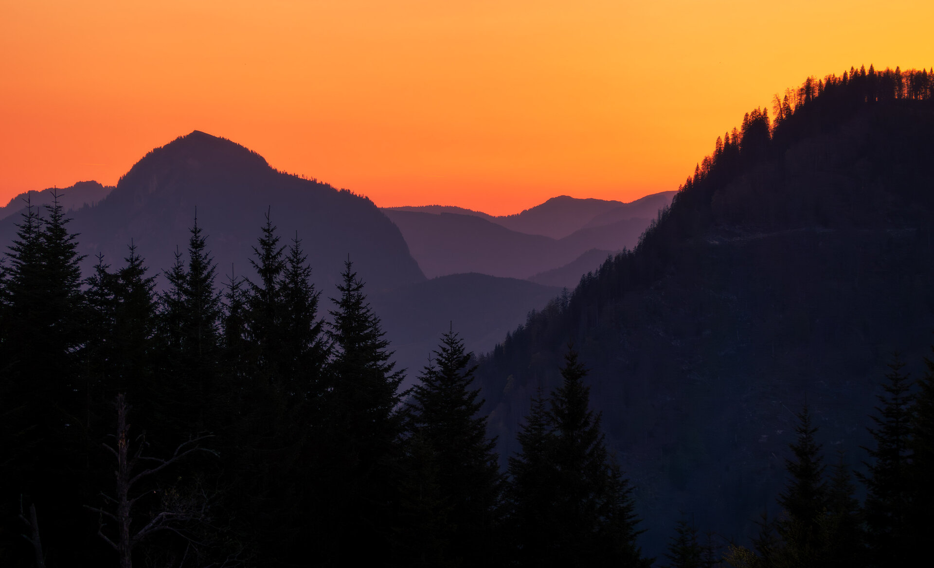 _DSC9254.jpg