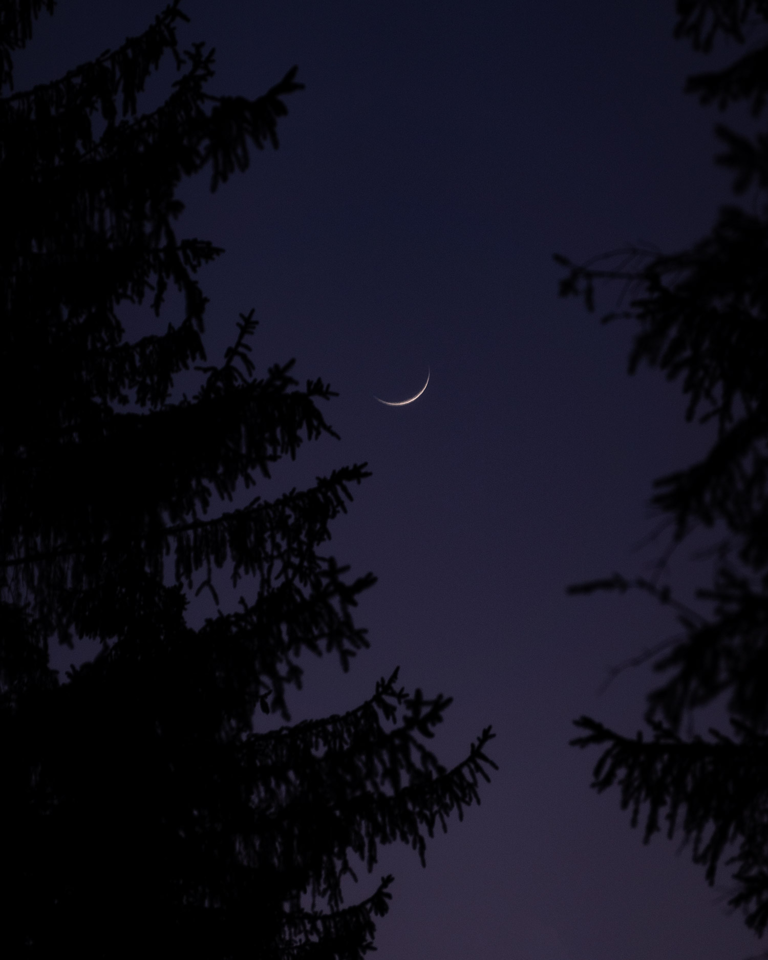 _DSC9265.jpg