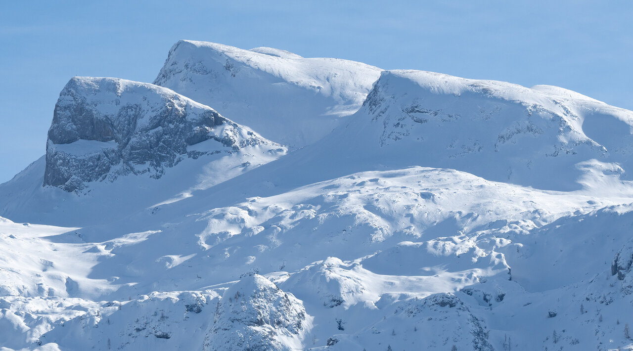 _DSC9485.jpg