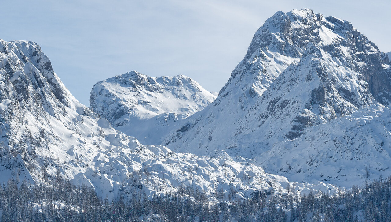 _DSC9488.jpg