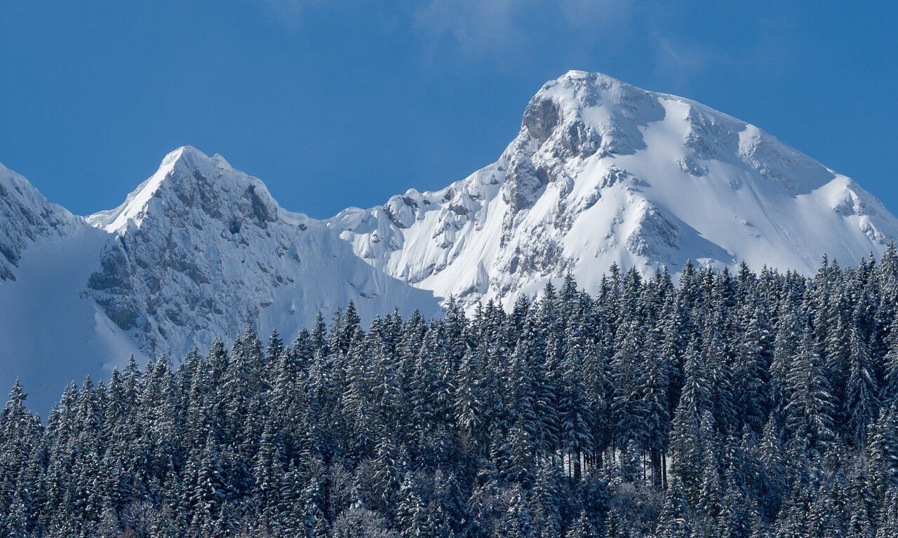 _DSC9564.jpg
