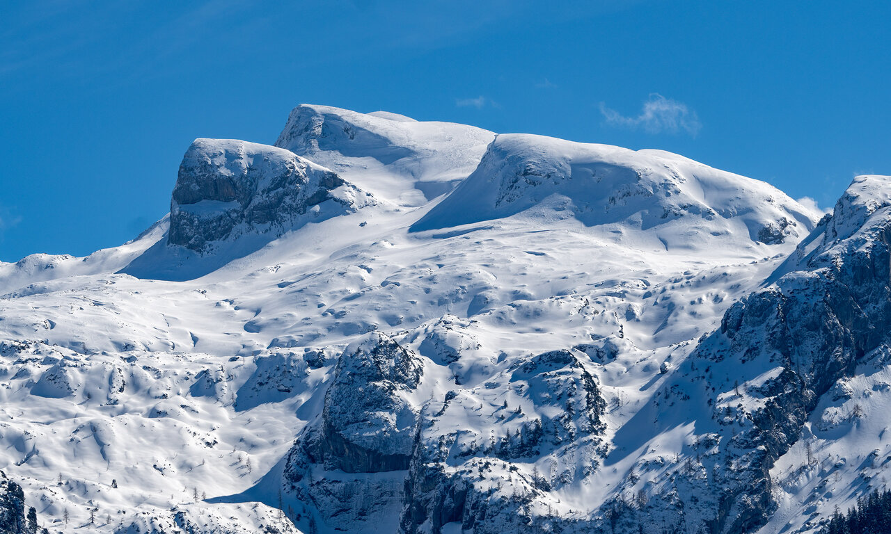 _DSC9572.jpg