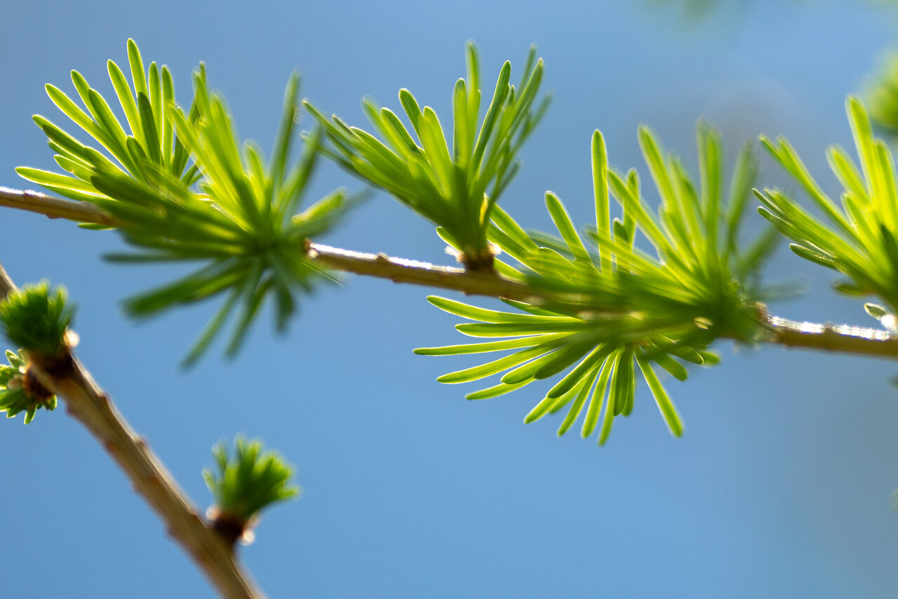 _DSC9632.jpg