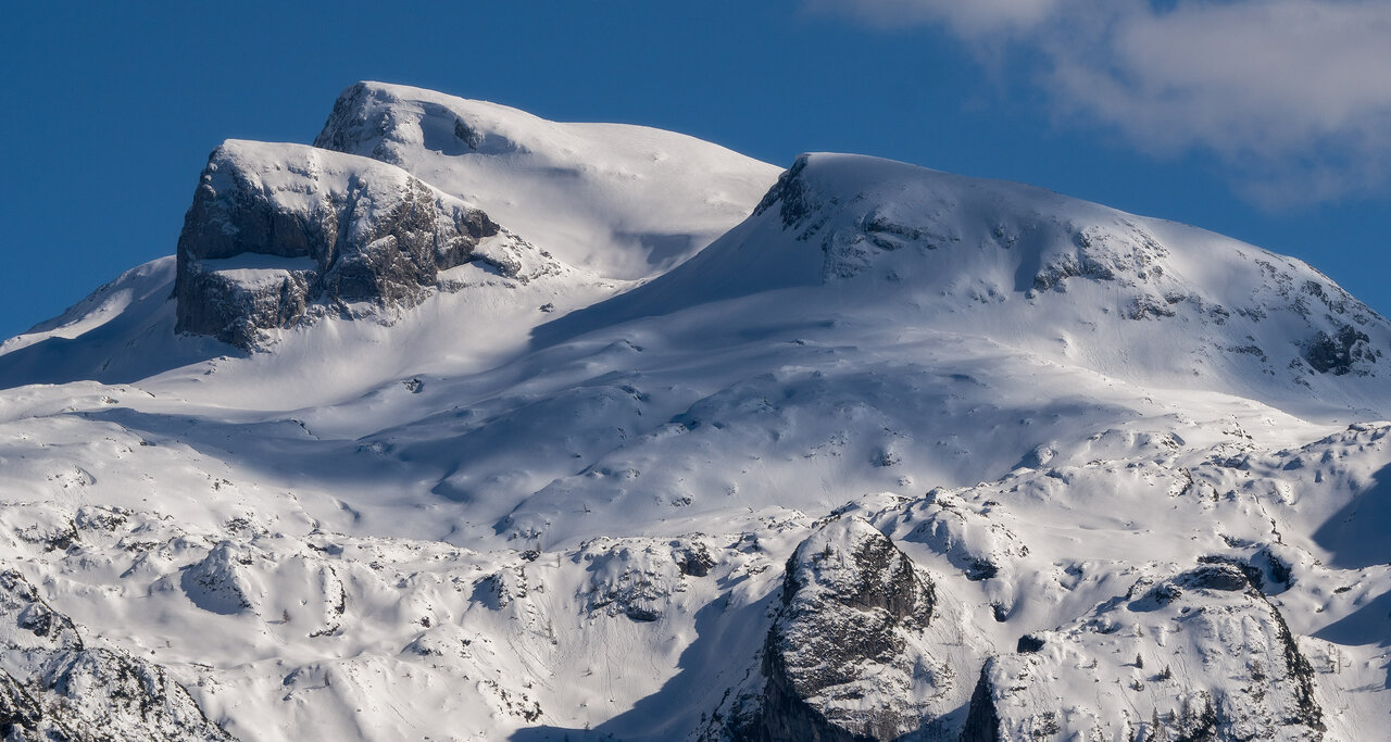 _DSC9698.jpg